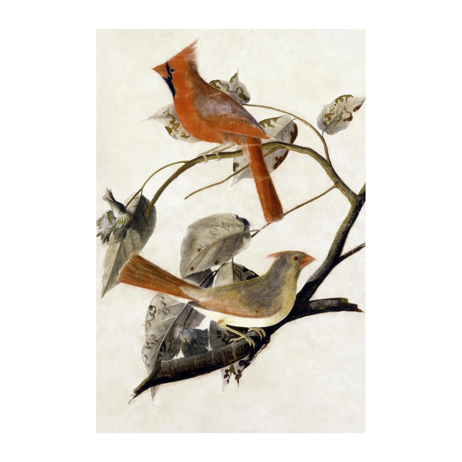 Vibrant Cardinal Pair Nature Art Wall Art