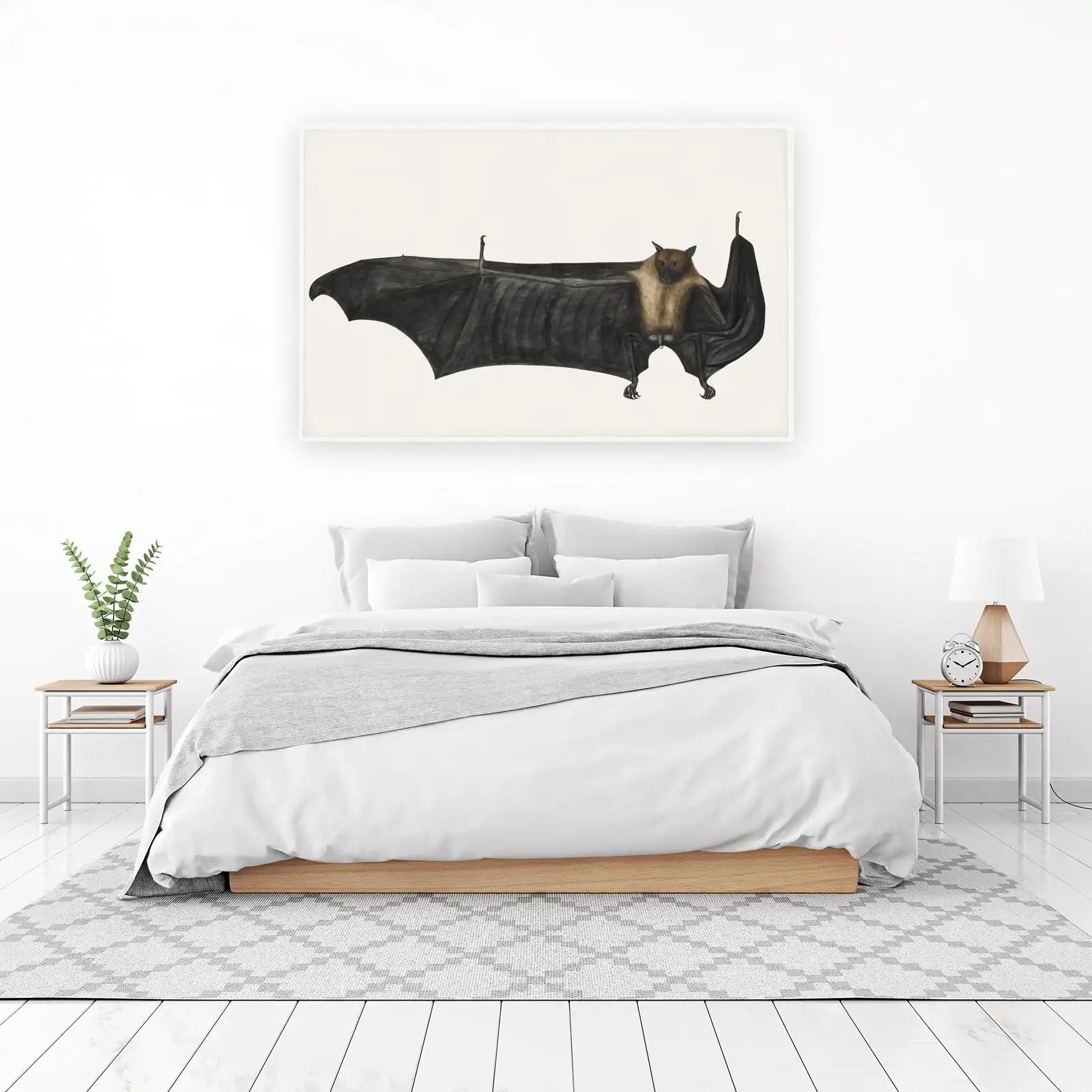 Vintage Bat Illustration Wall Art