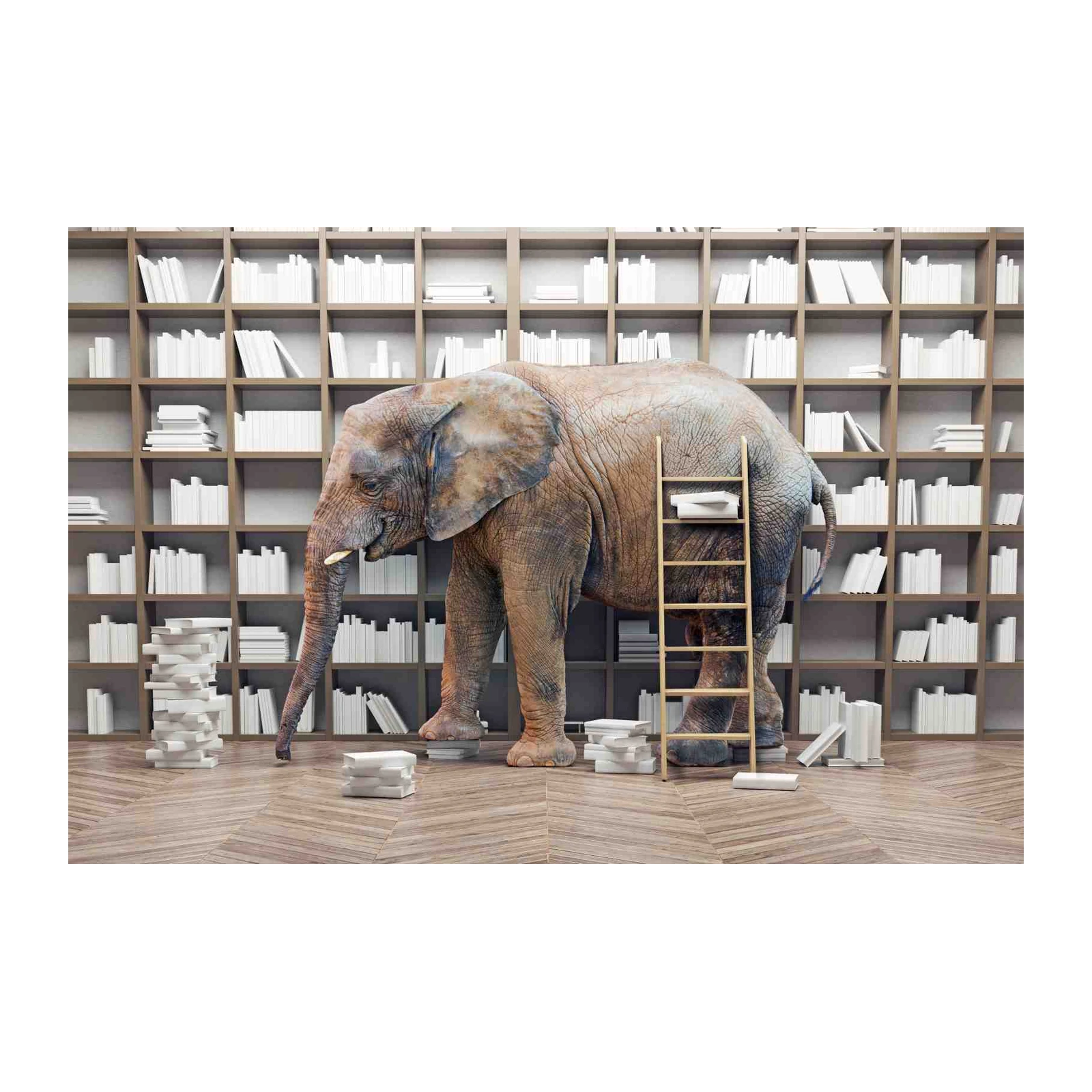 Majestic Elephant & Bookshelf Wall Art Wall Art
