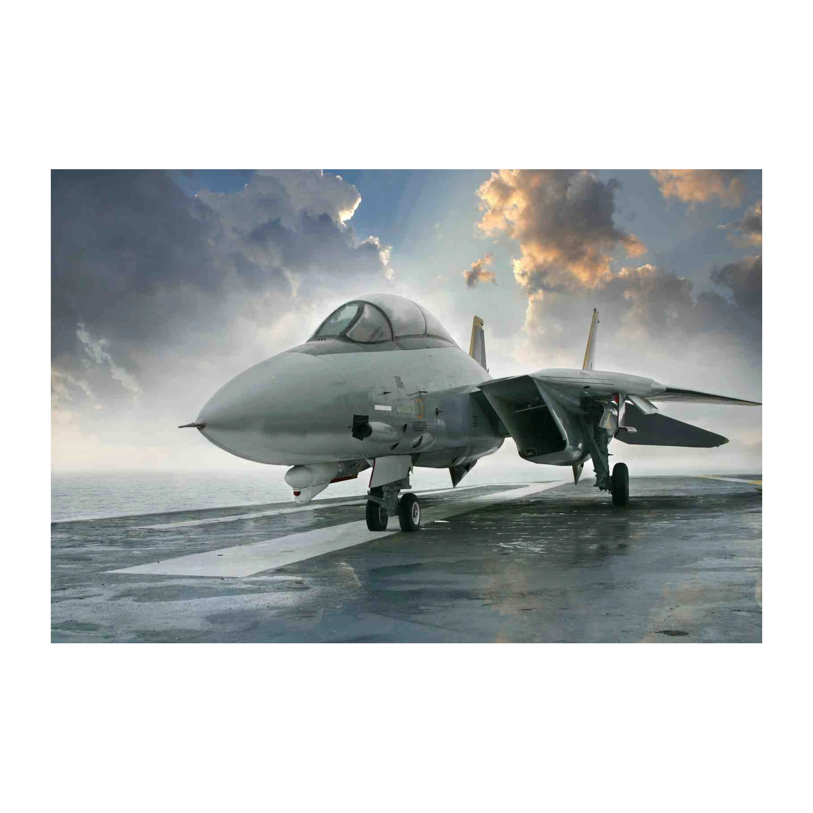 F-14 Tomcat Fighter Jet Wall Art