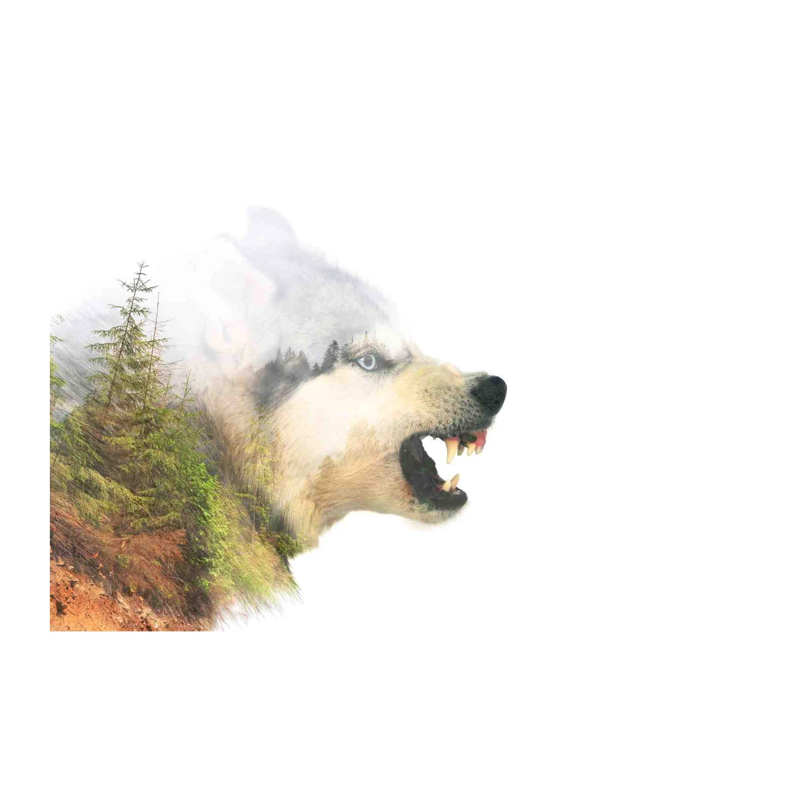 Majestic Wolf Forest Double Exposure Wall Art