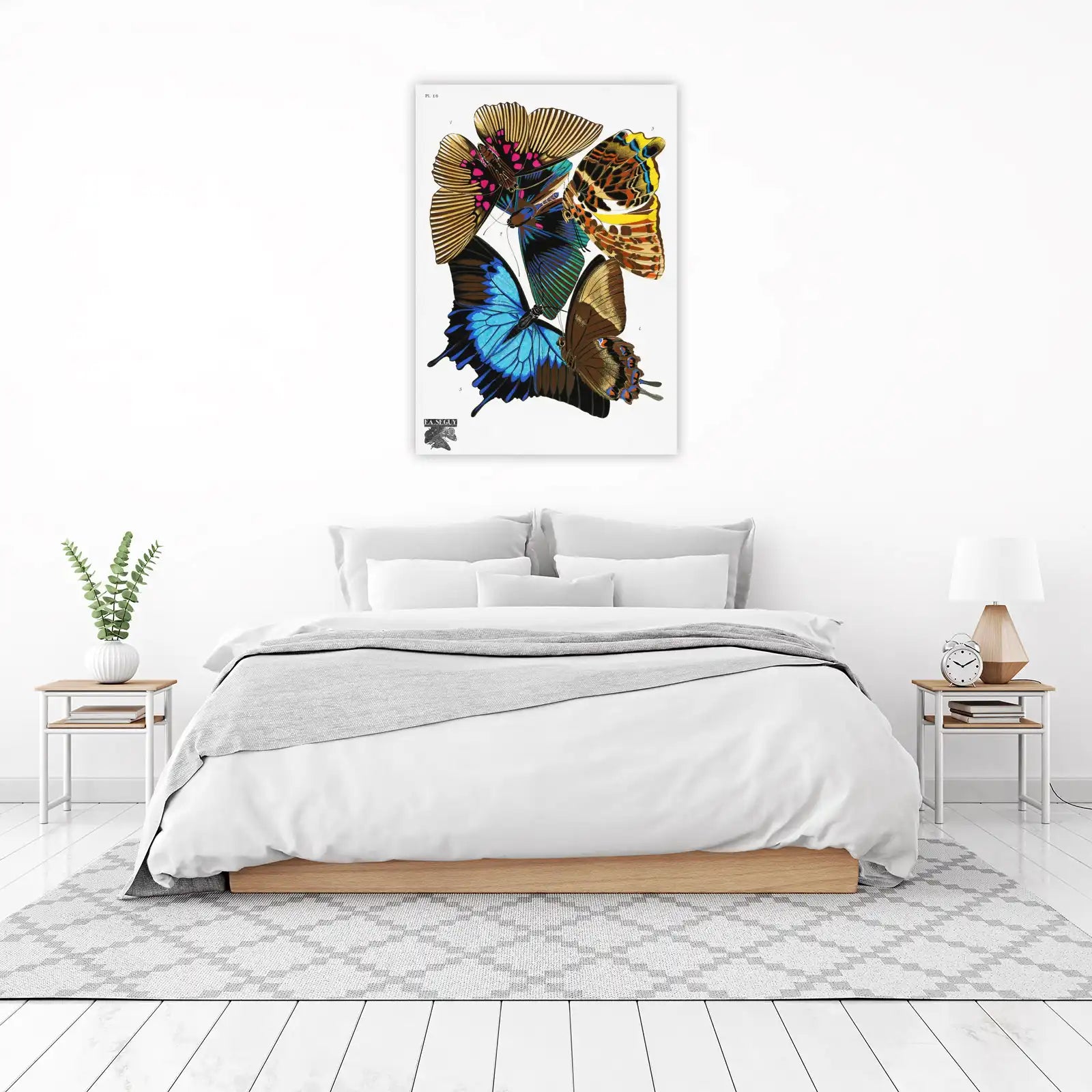 Vibrant Butterfly Collection Art Wall Art