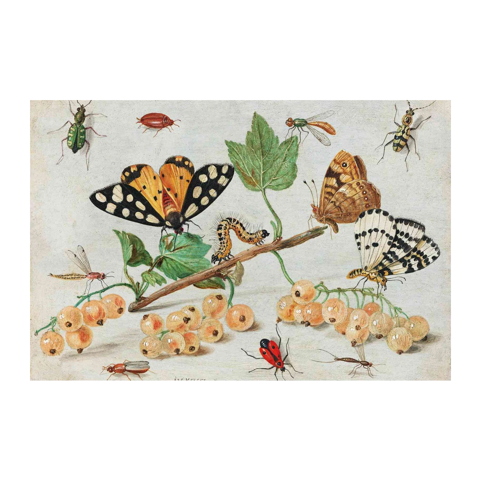 Vintage Insects & Berries Nature Art Wall Art