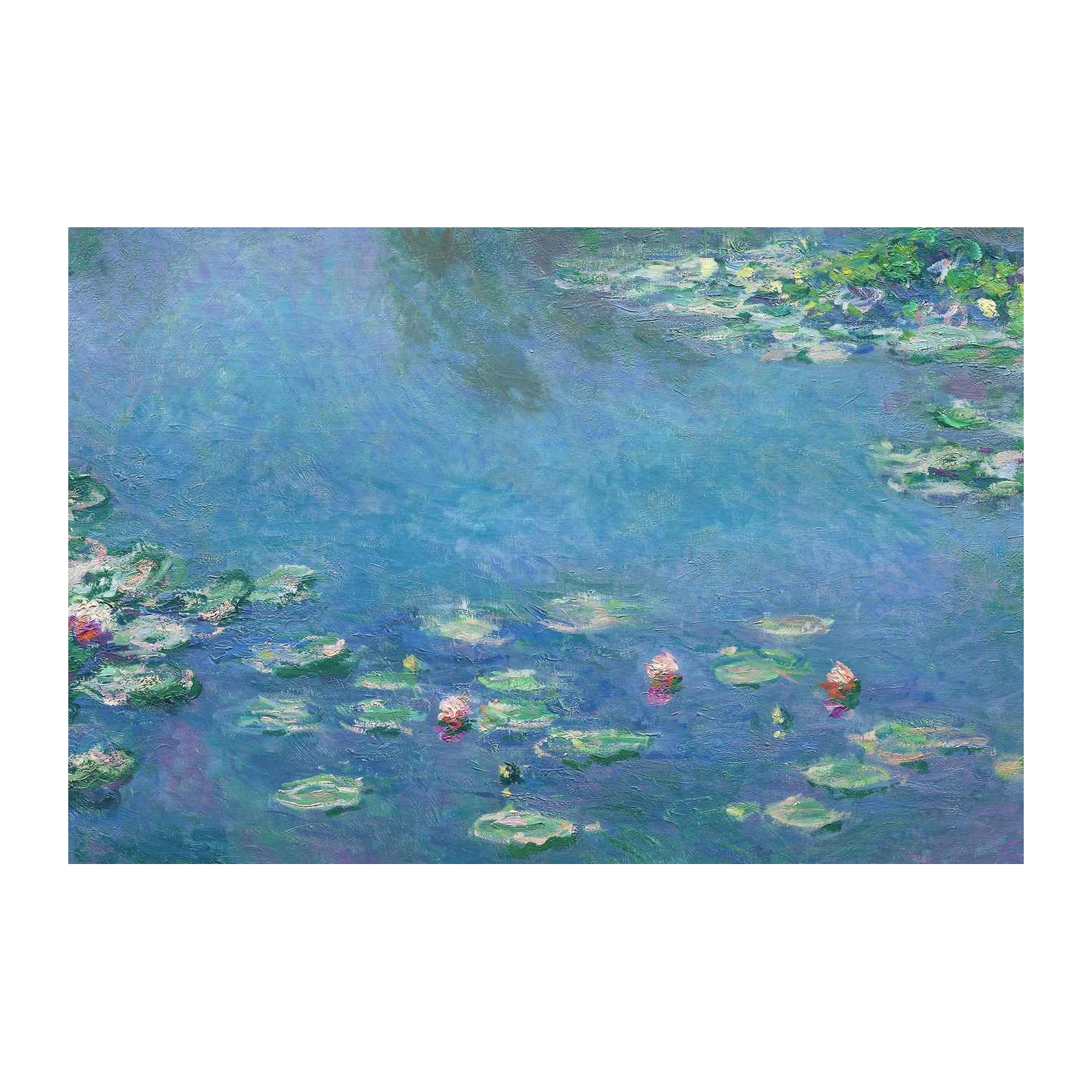 Serene Water Lilies Claude Monet Wall Art