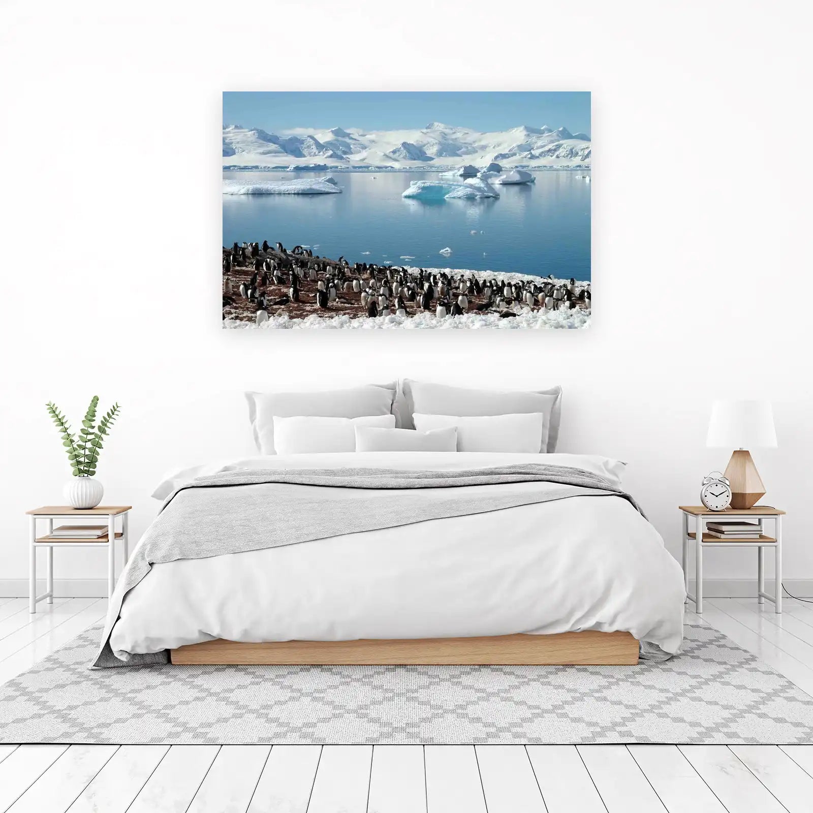 Penguin Colony Antarctica Wall Art