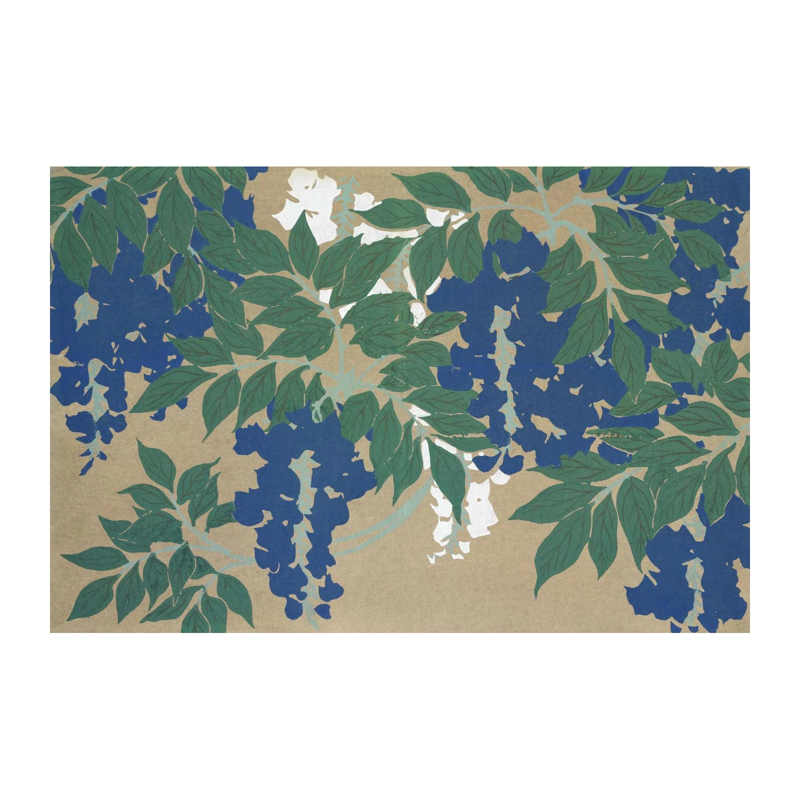 Blue Wisteria Botanical Art Wall Art