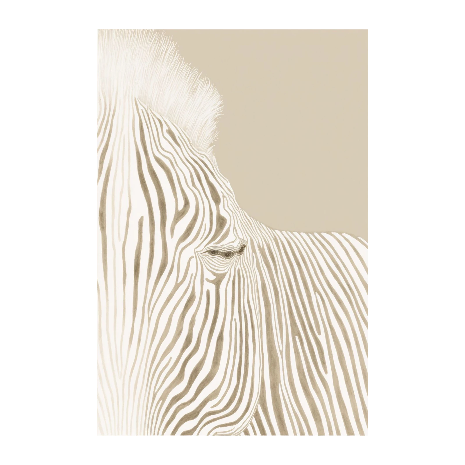 Elegant Zebra Close-Up Wall Art