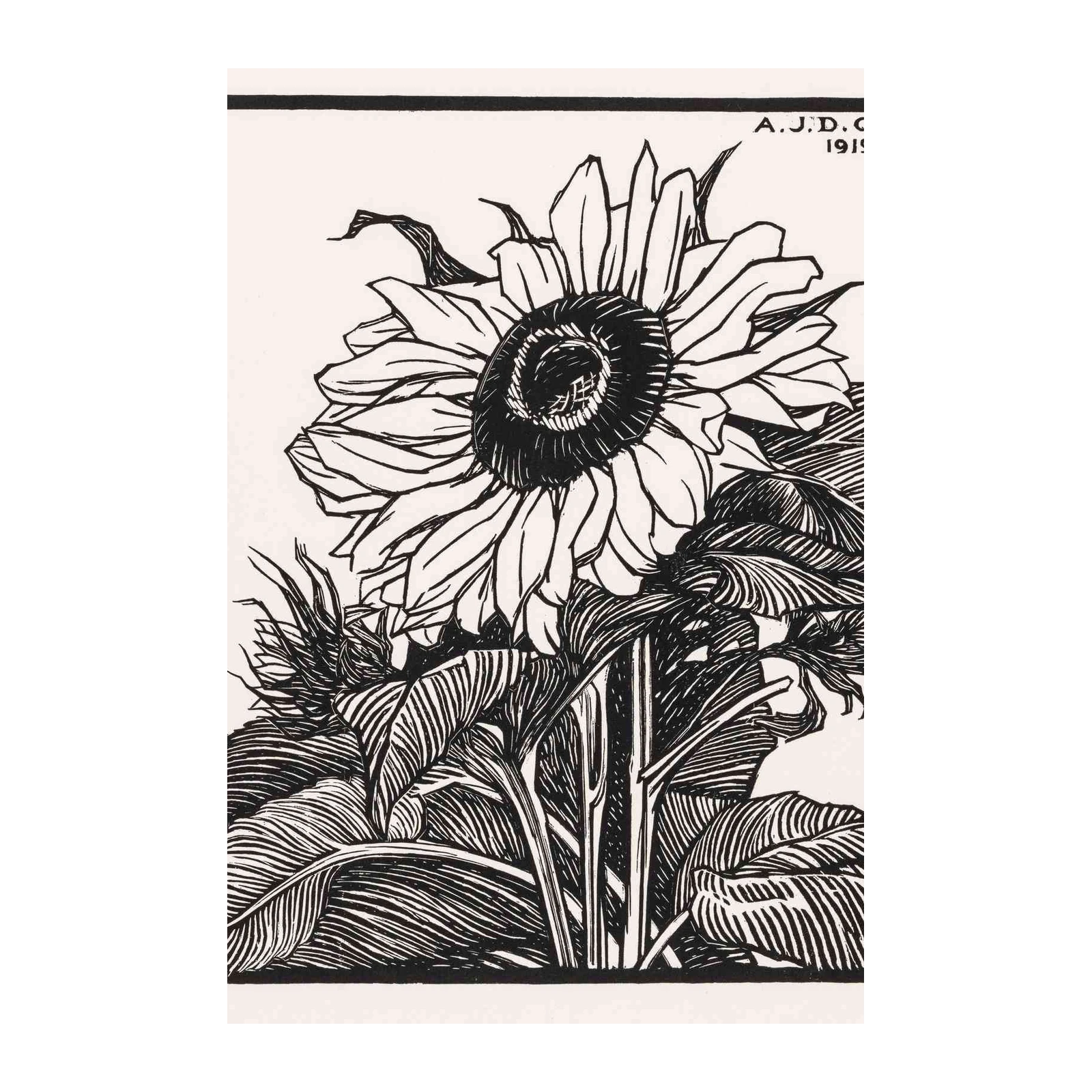 Vintage Sunflower Art | Black & White Botanical Wall Art
