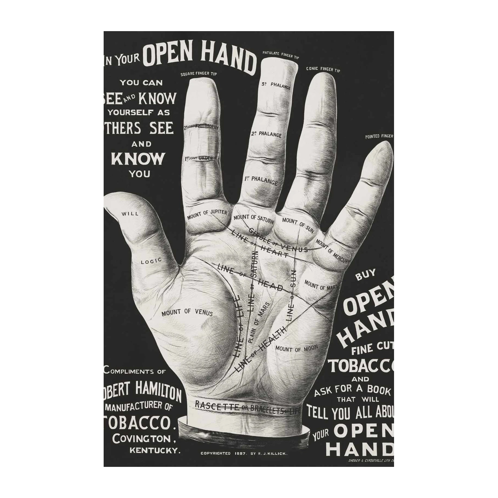 Vintage Palmistry 'Open Hand' Wall Art