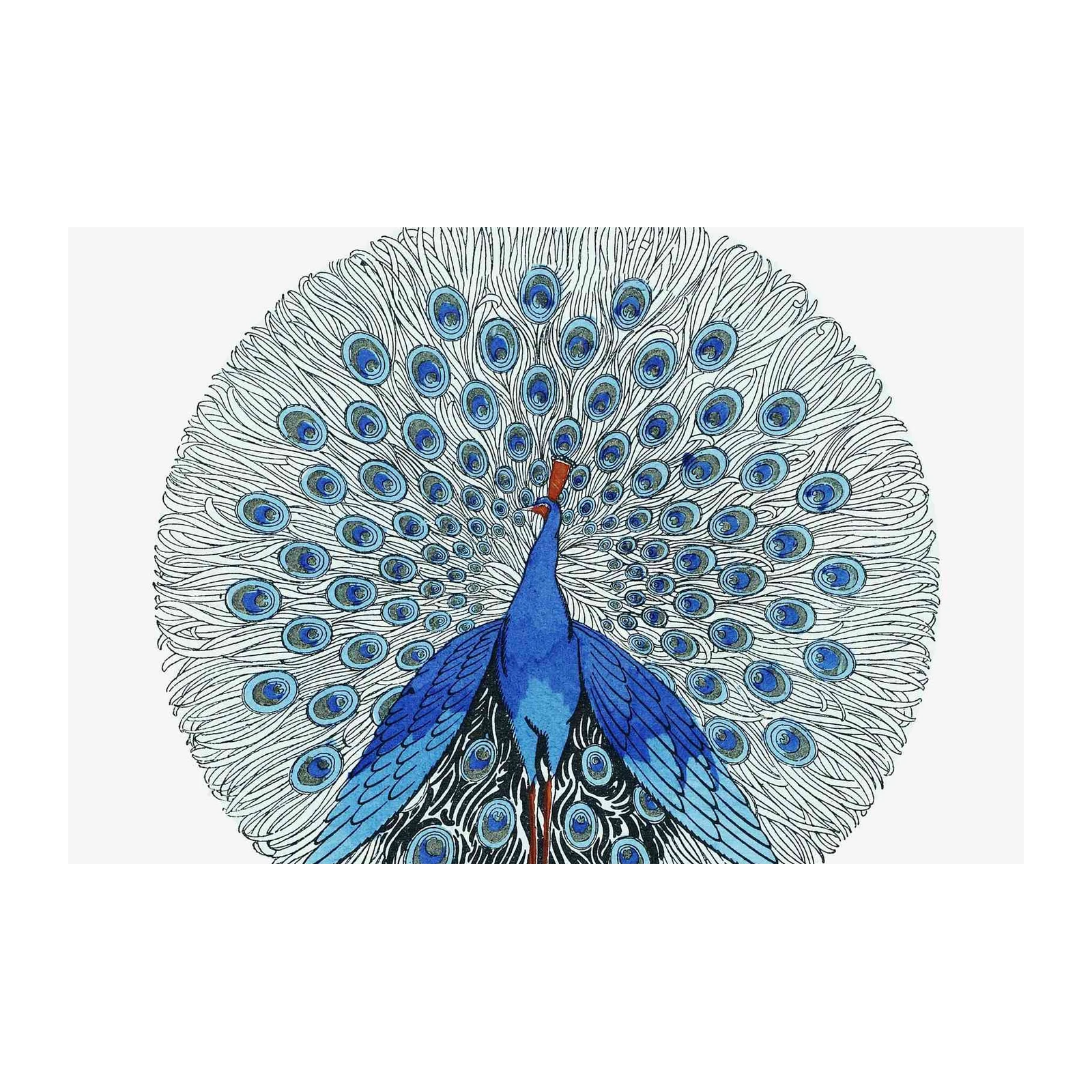 Majestic Blue Peacock Feather Fan Wall Art