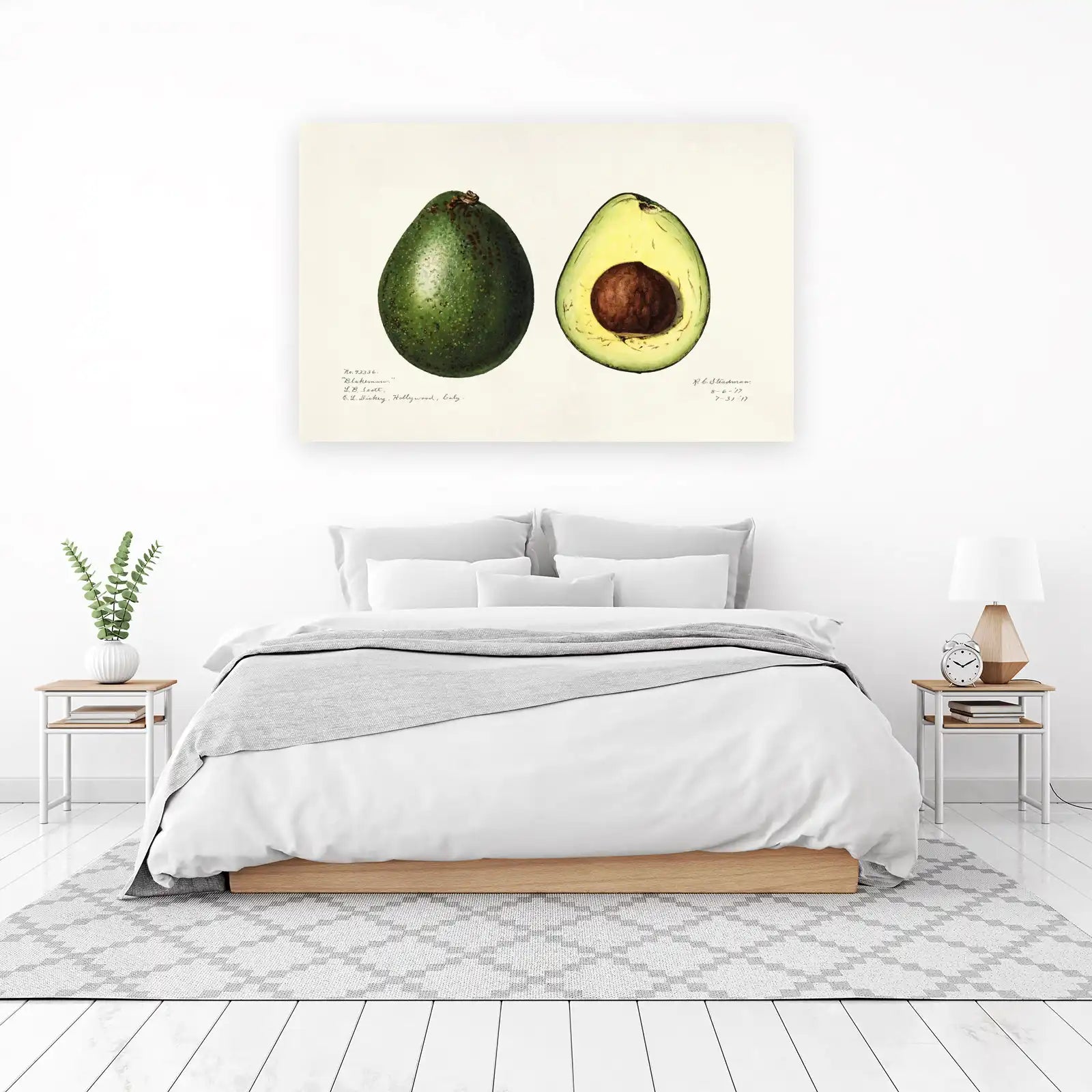 Botanical Avocado Study Wall Art
