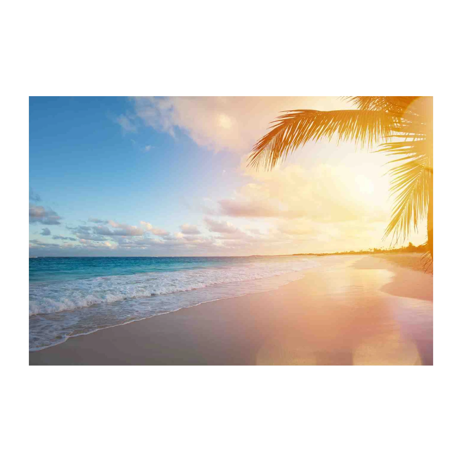 Tranquil Beach Sunset Palm Wall Art