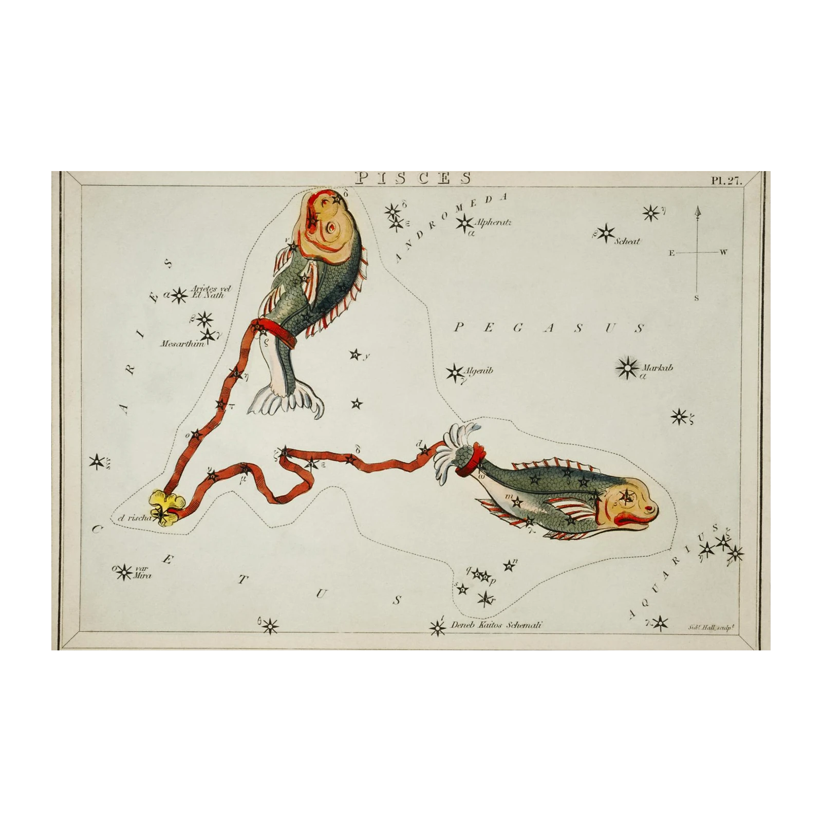 Vintage Pisces Constellation Wall Art