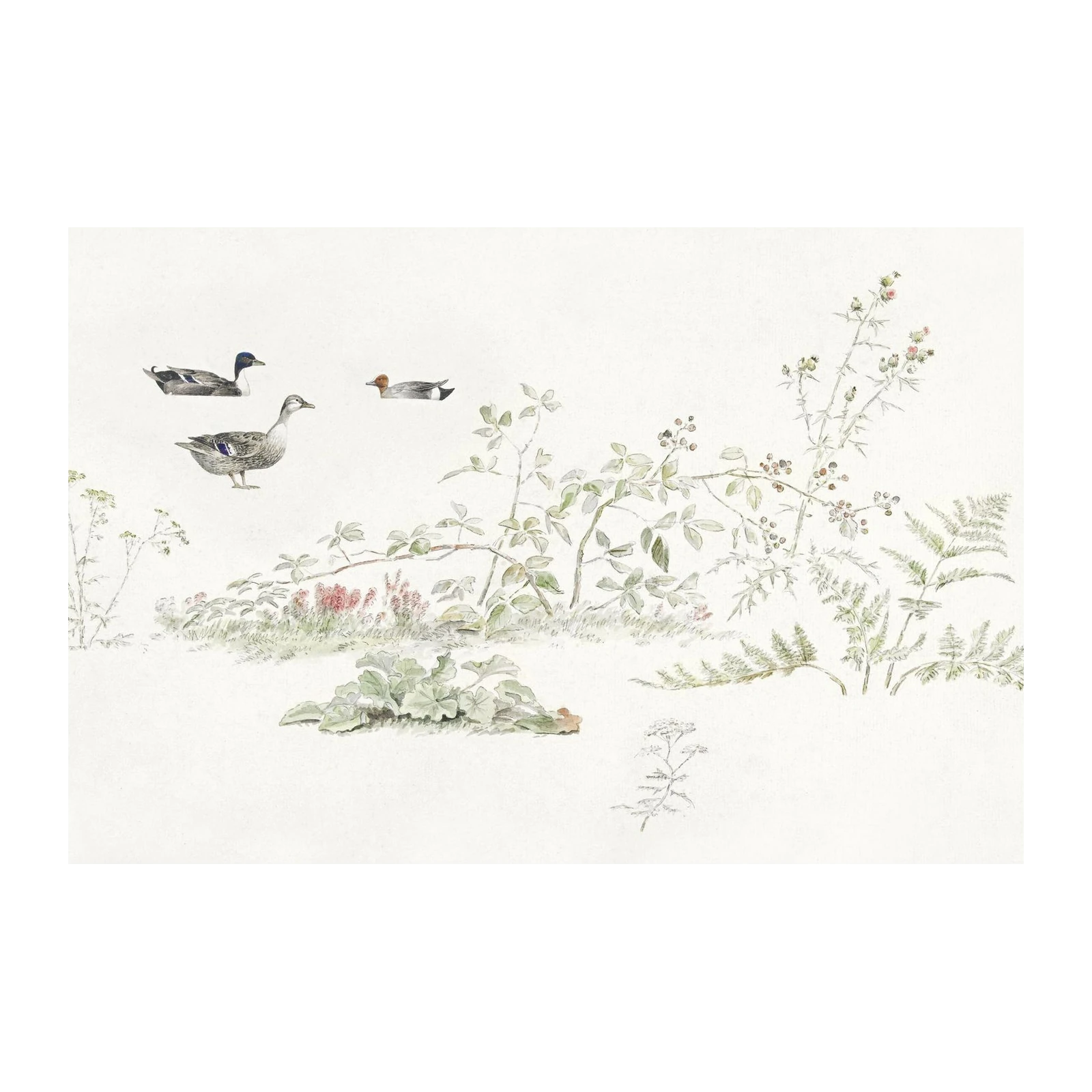 Serene Duck Meadow Watercolor Wall Art