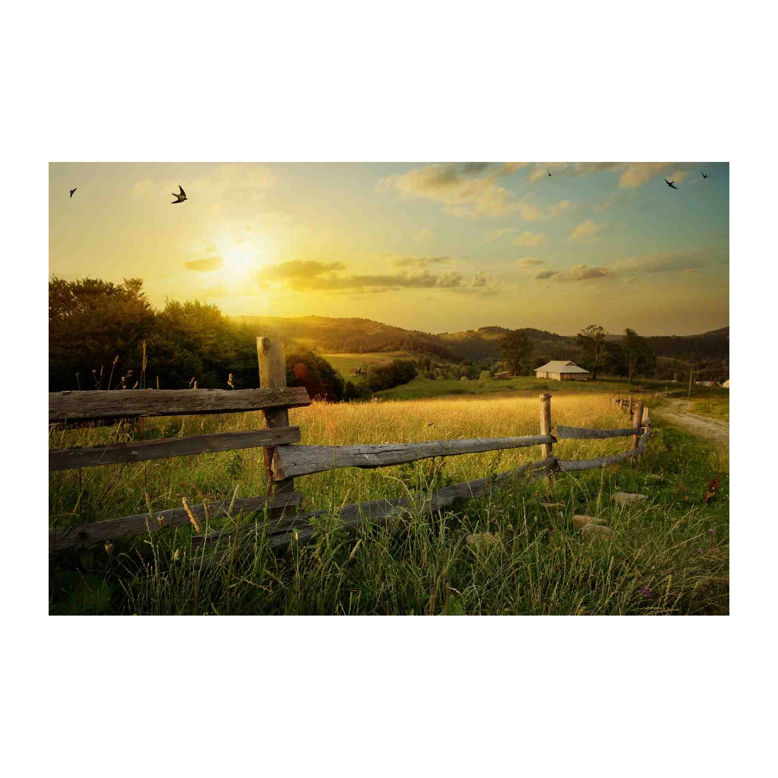 Serene Countryside Sunset Landscape Wall Art