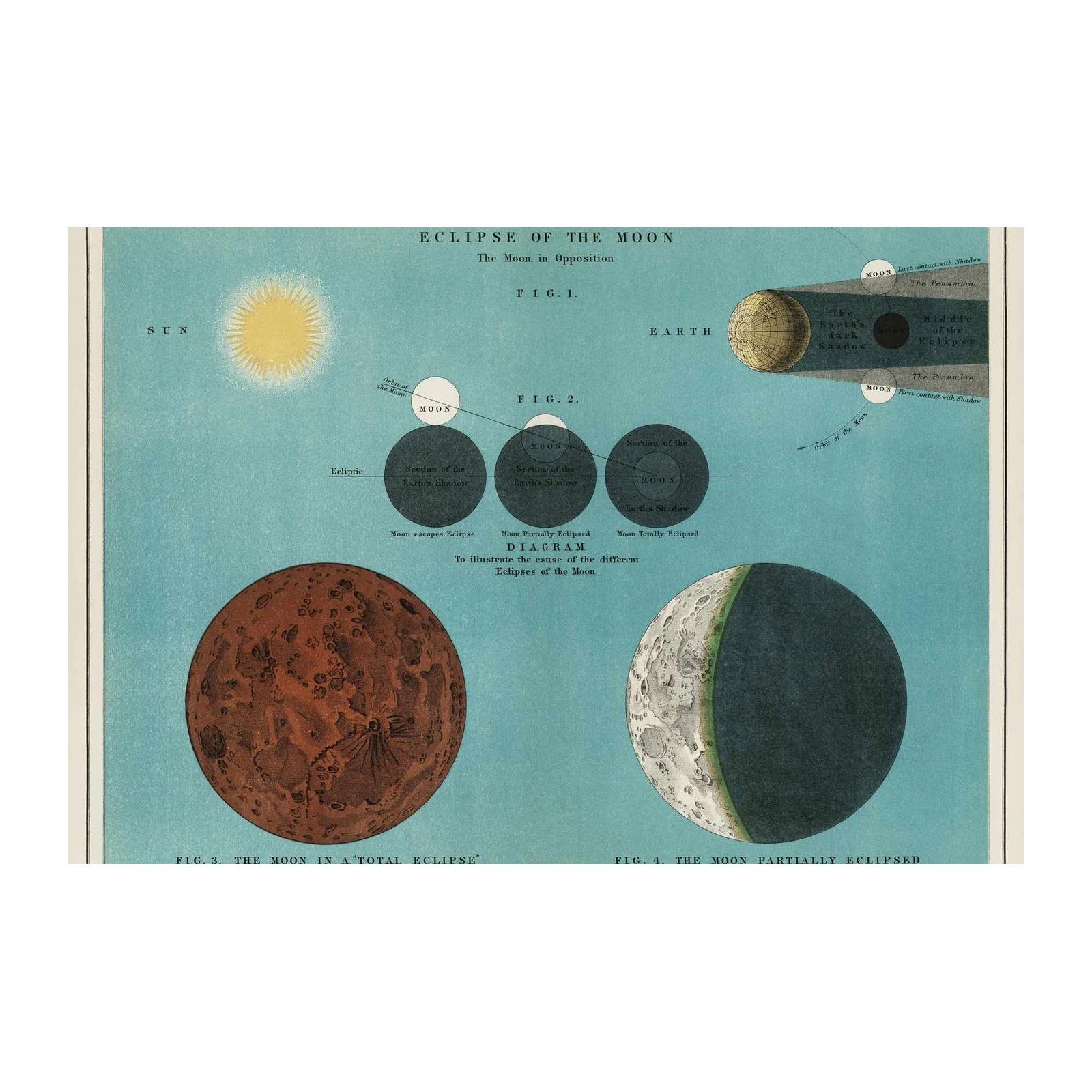Vintage Astronomy Moon Eclipse Wall Art
