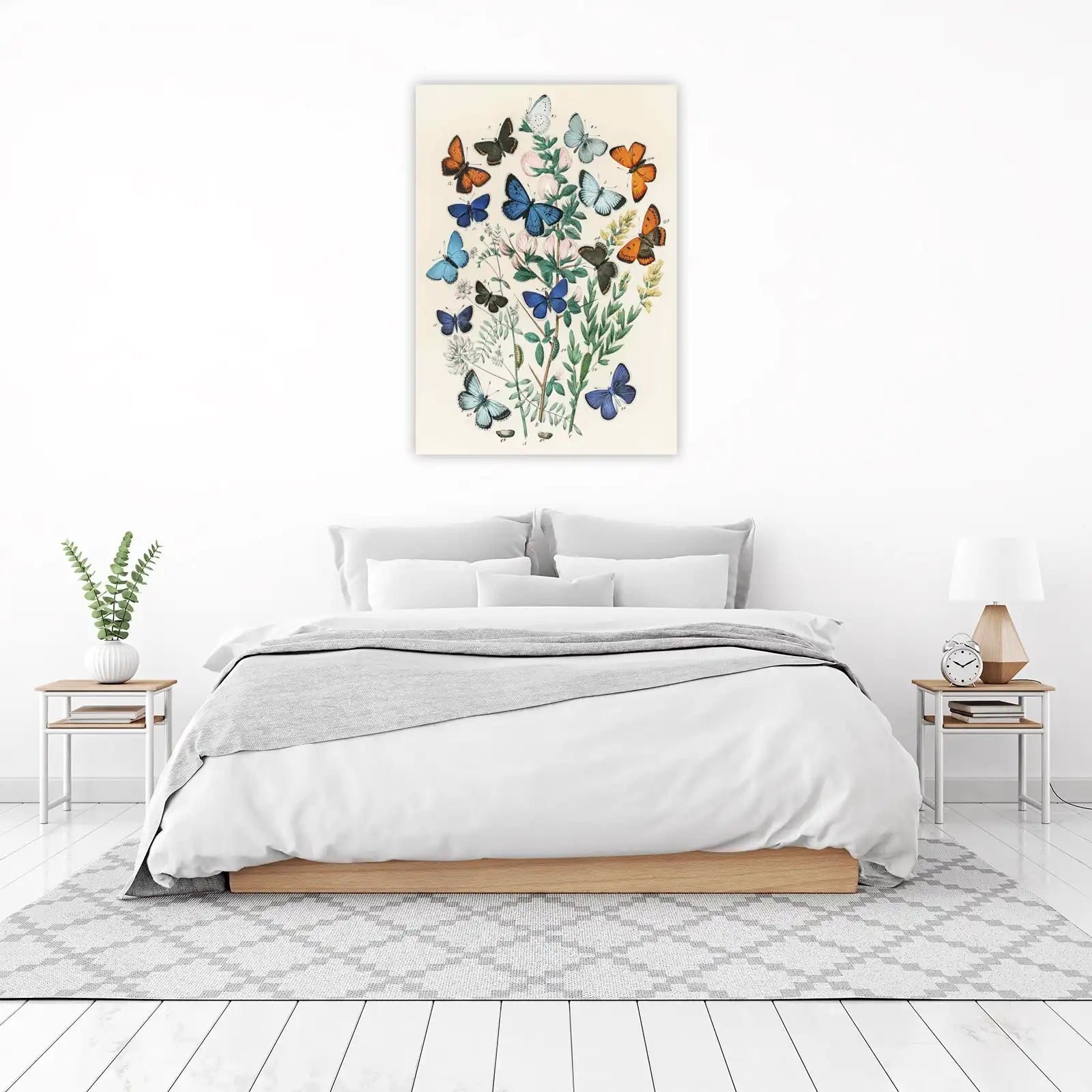 Vintage Butterfly Botanical Art Wall Art