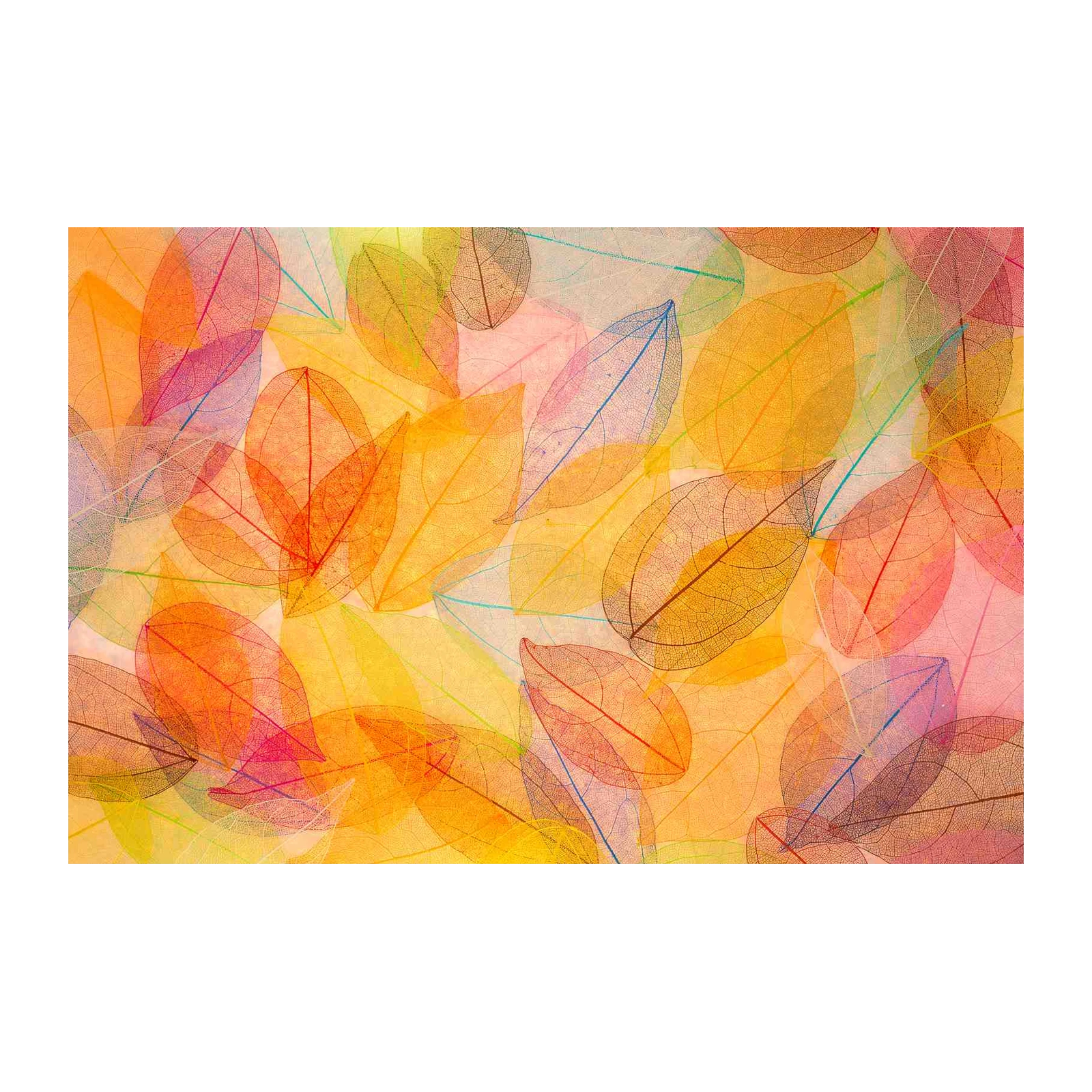 Vibrant Skeleton Leaves Wall Art Wall Art