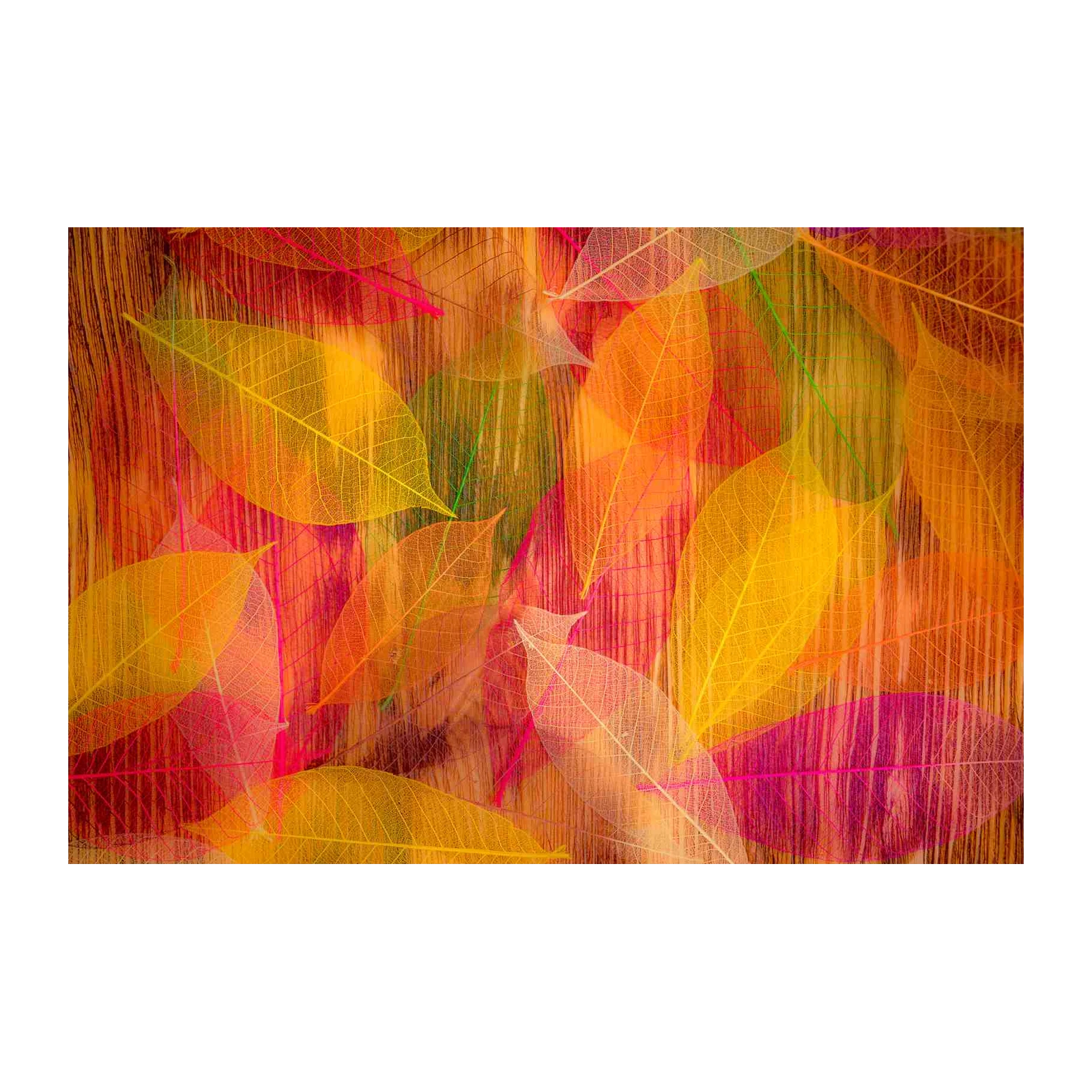 Vibrant Skeleton Leaves Wall Art Wall Art