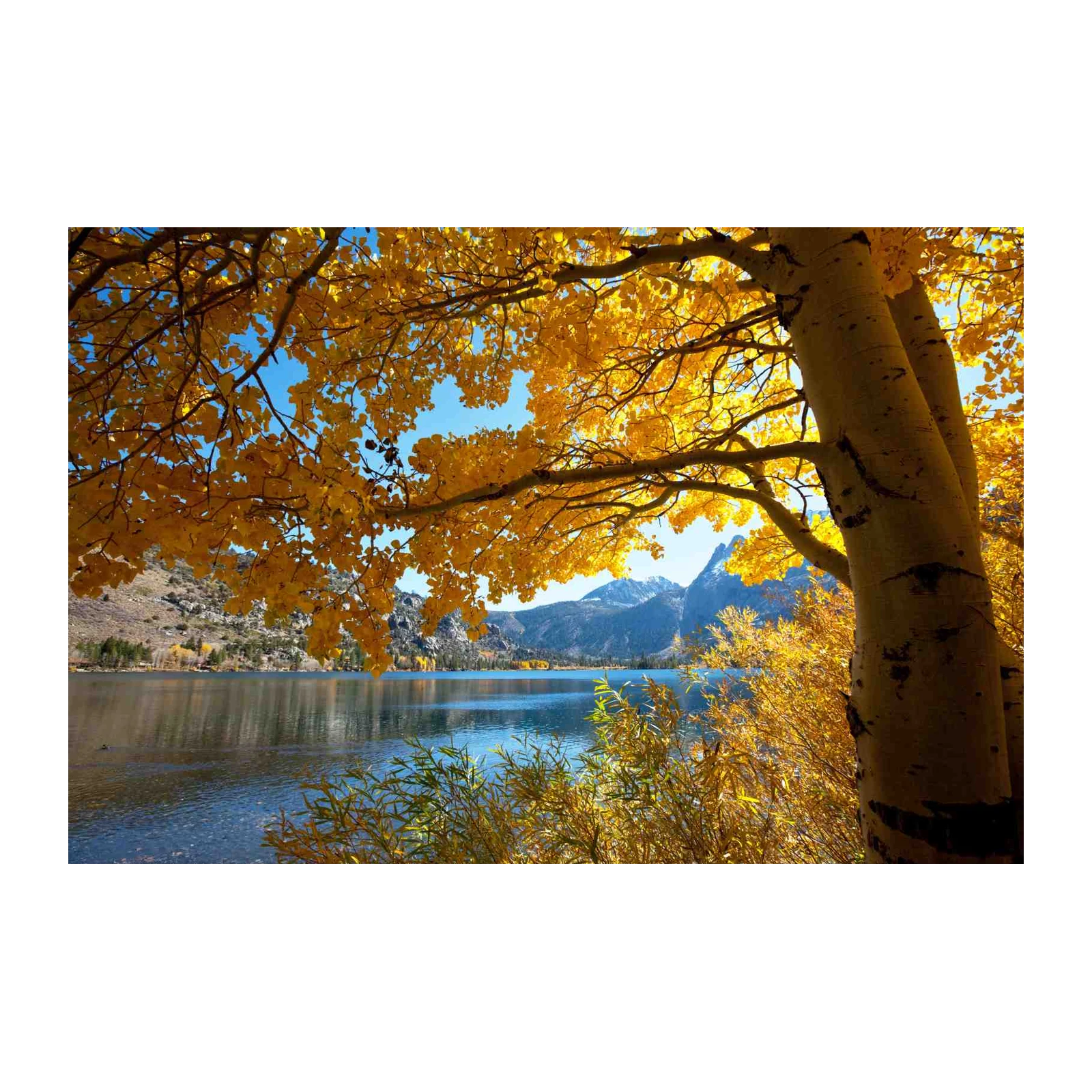 Golden Autumn Lake Mountain Landscape Wall Art