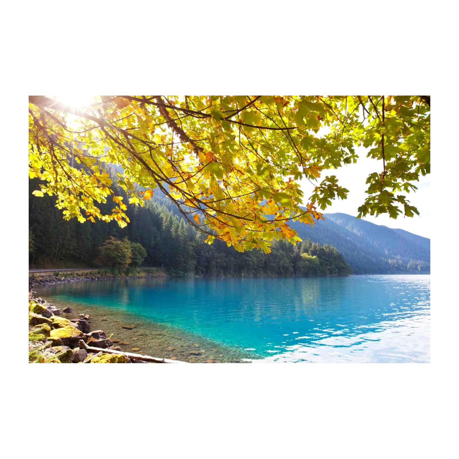 Golden Autumn Lake Serenity Wall Art