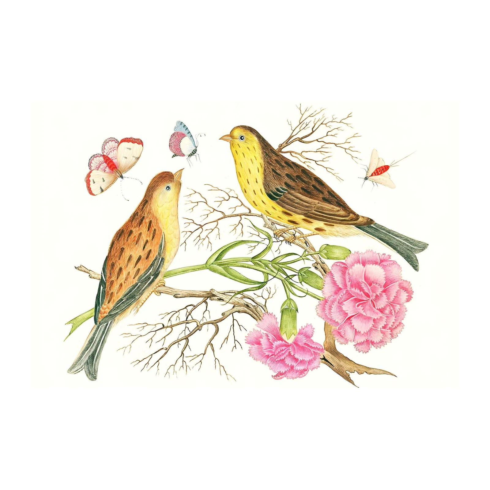 Vintage Birds & Butterflies Wall Art
