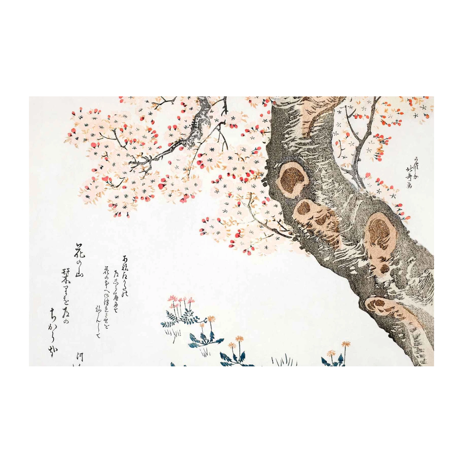 Japanese Cherry Blossom Tree Wall Art