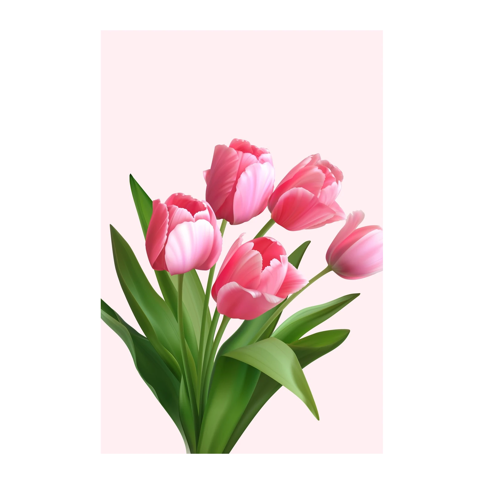 Vibrant Pink Tulips Wall Art Wall Art