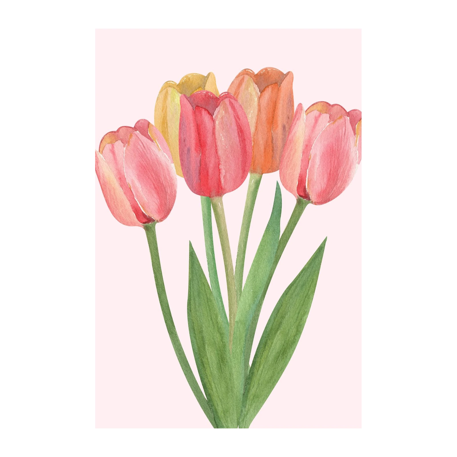 Watercolor Tulip Bouquet Wall Art
