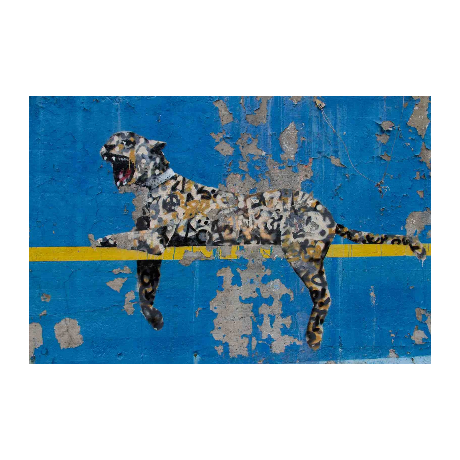 Graffiti Leopard Roar Wall Art