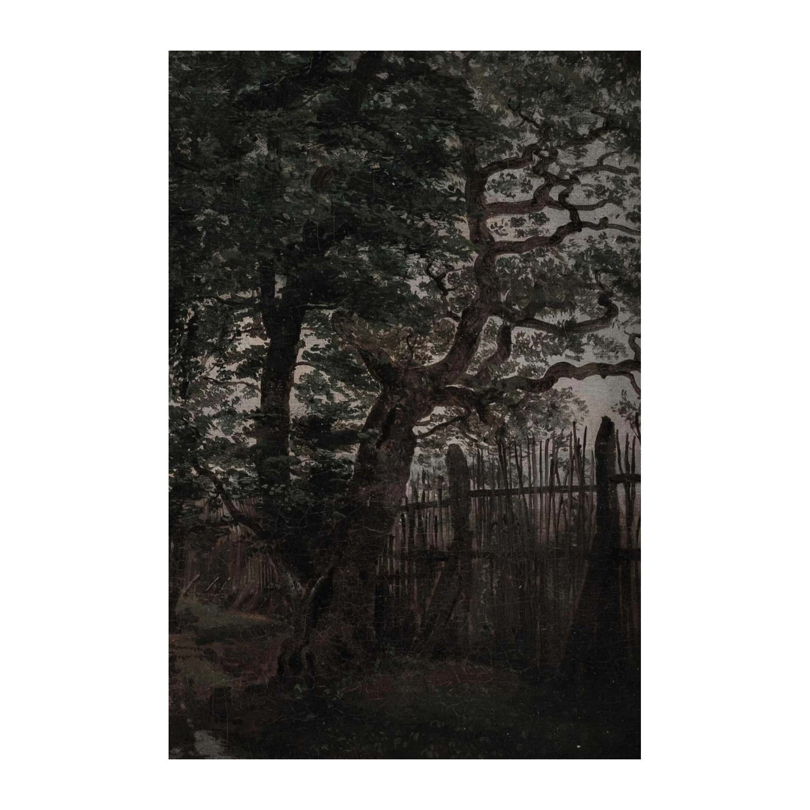 Gothic Forest Mystique Wall Art