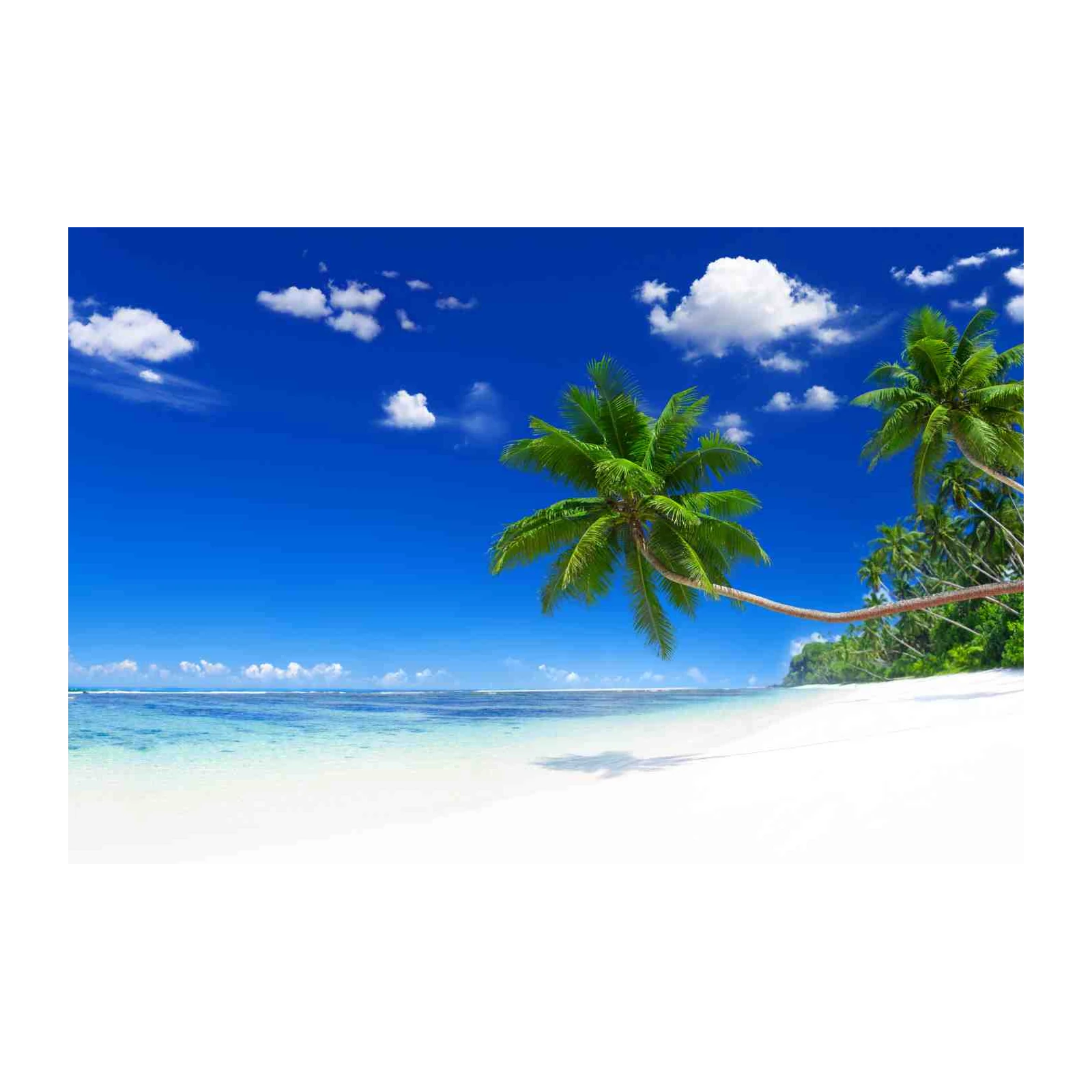 Tropical Paradise Palm Beach Wall Art