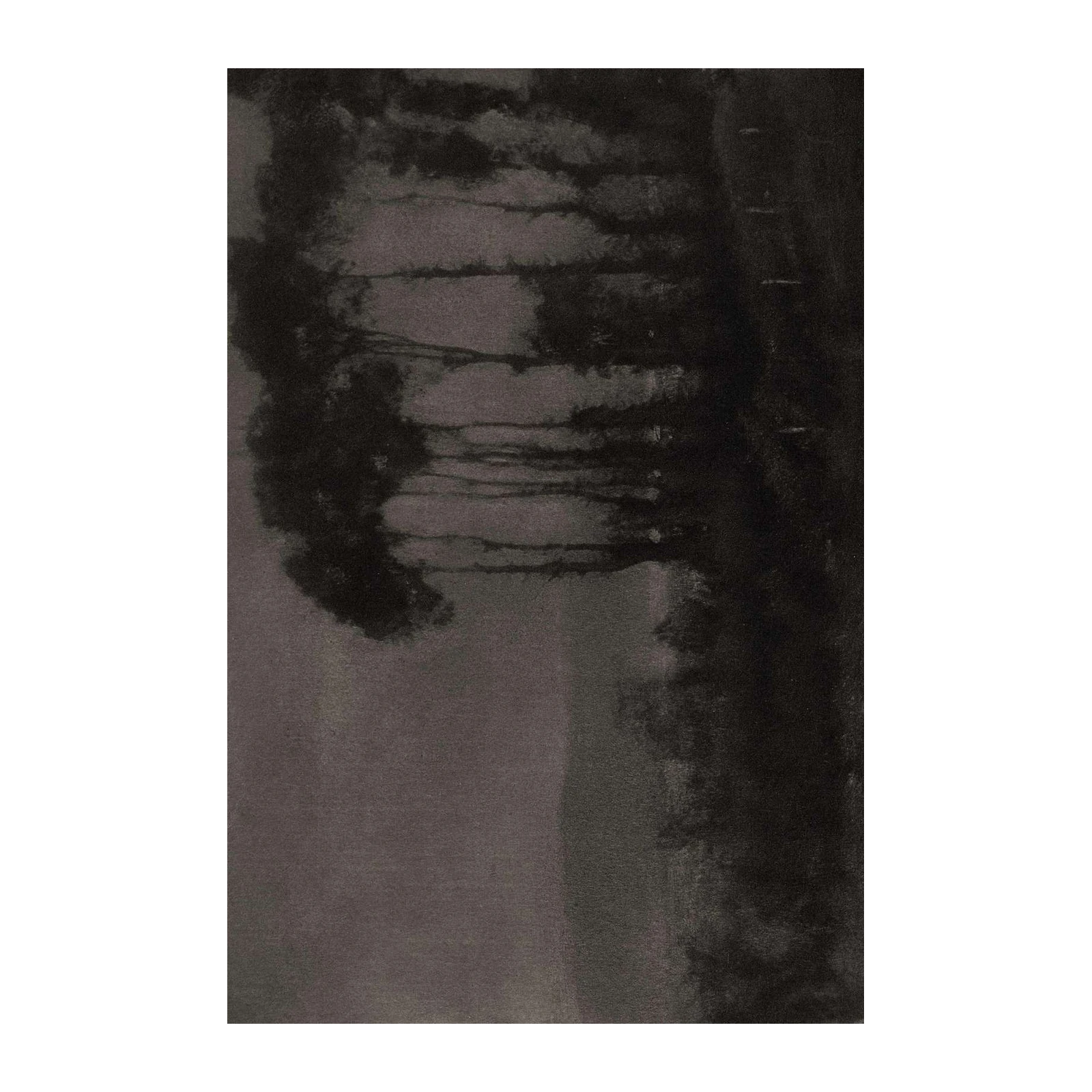 Abstract Forest Monochrome Wall Art