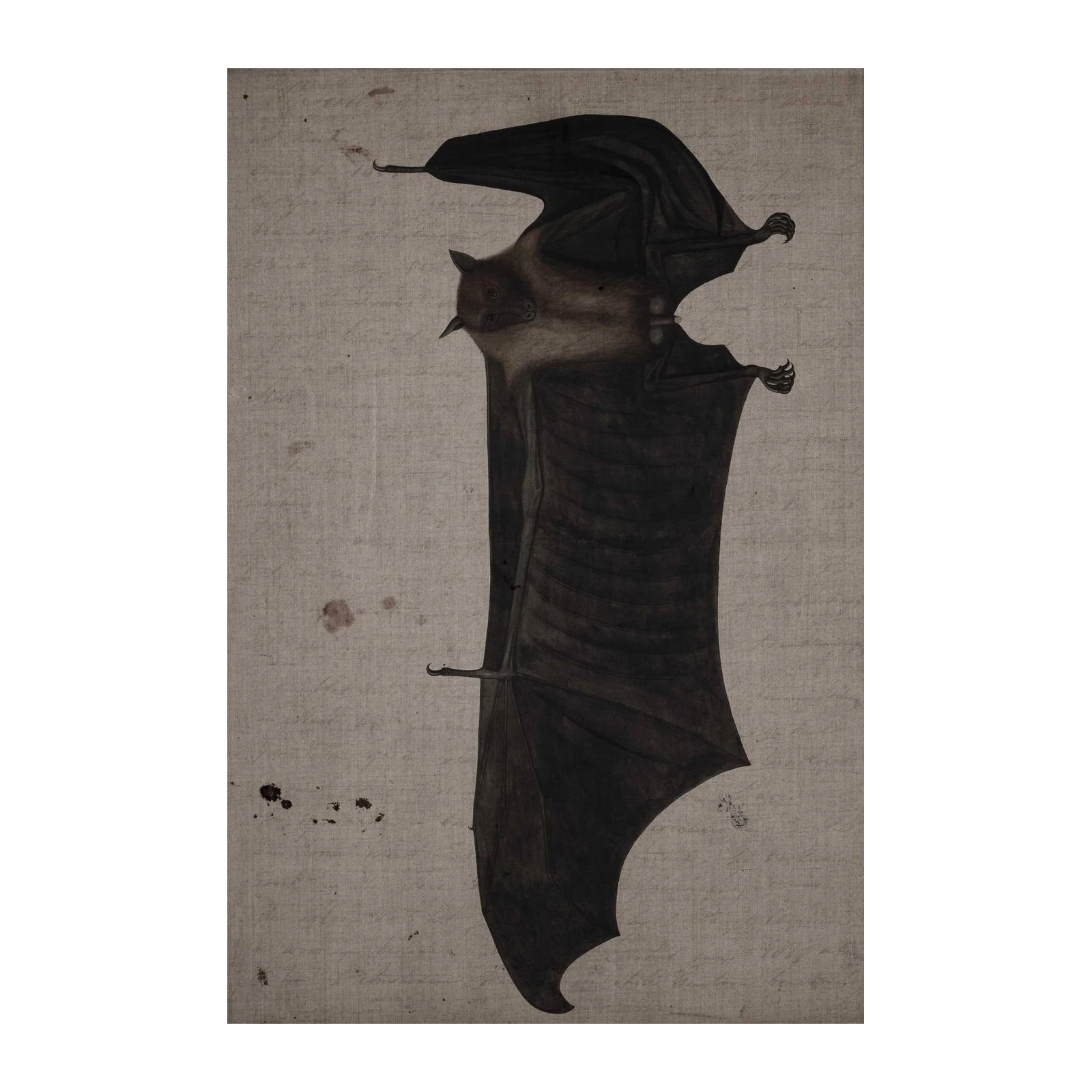 Vintage Bat Illustration Wall Art - Dark Academia Wall Art
