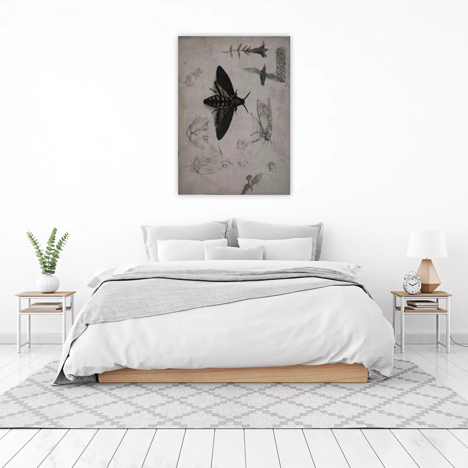 Vintage Moth & Nature Sketch Wall Art