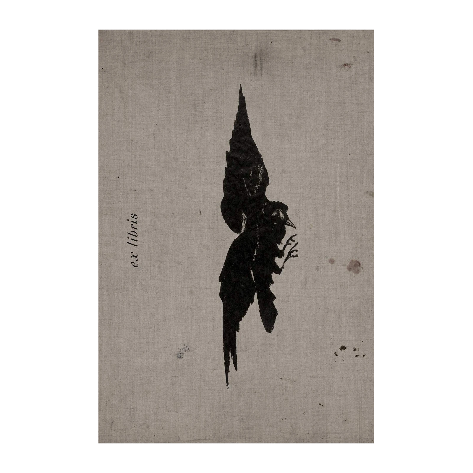 Mystic Black Bird 'Ex Libris' Wall Art