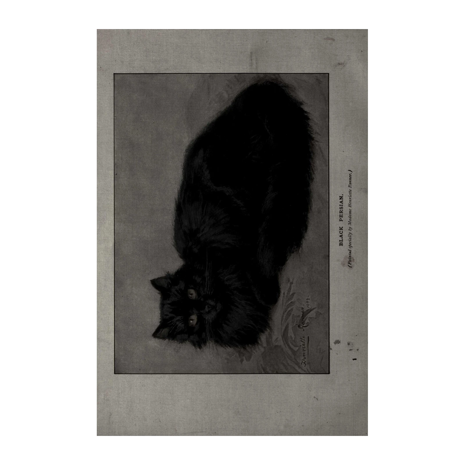 Elegant Black Persian Cat Art Wall Art