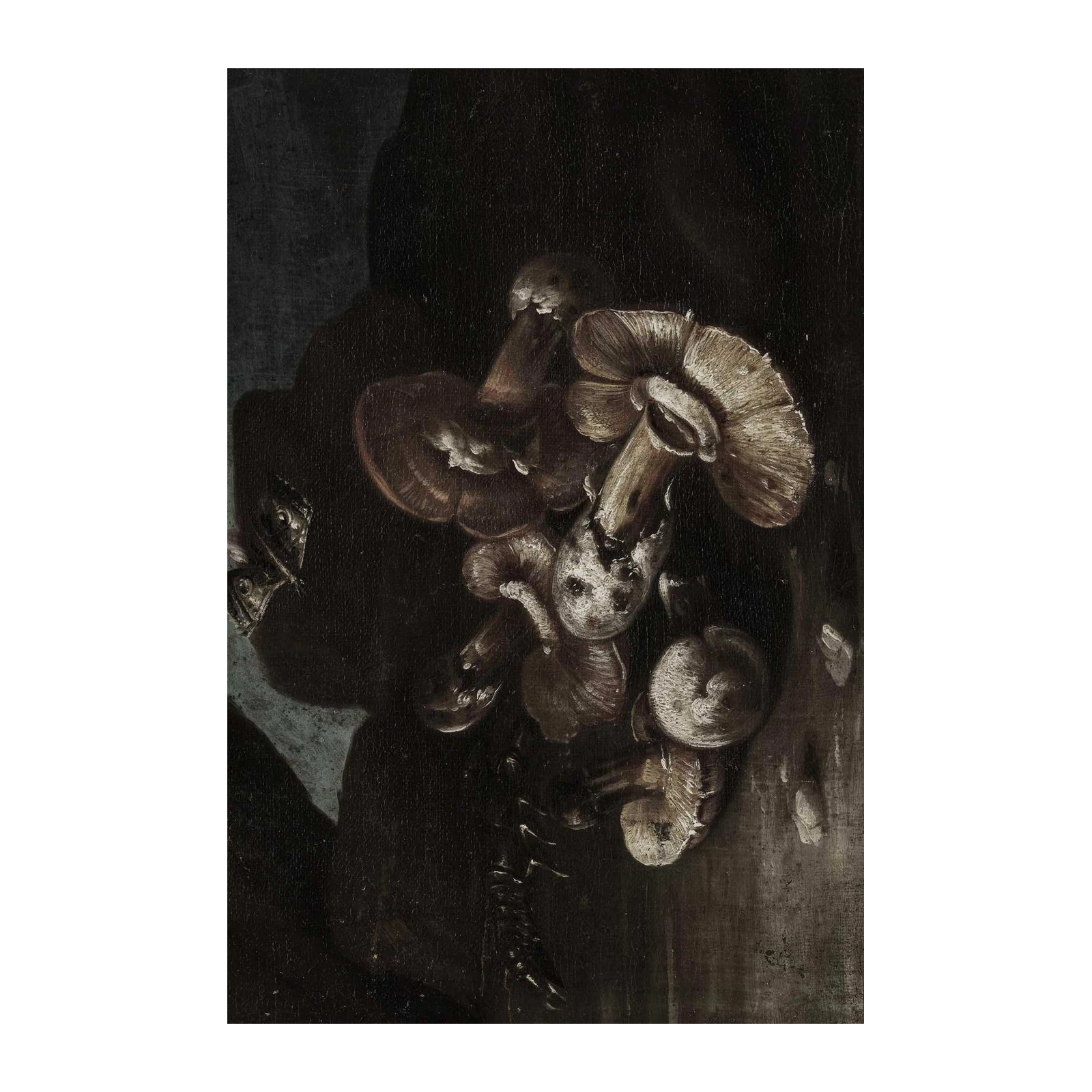 Vintage Mushroom Still Life Wall Art