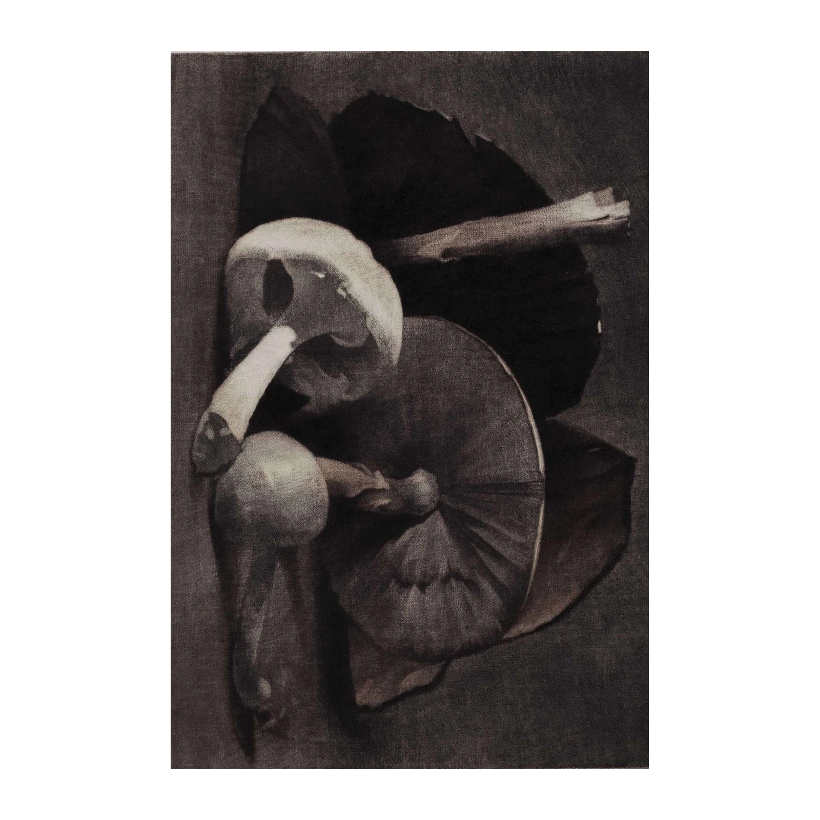 Mysterious Mushroom Still Life Wall Art