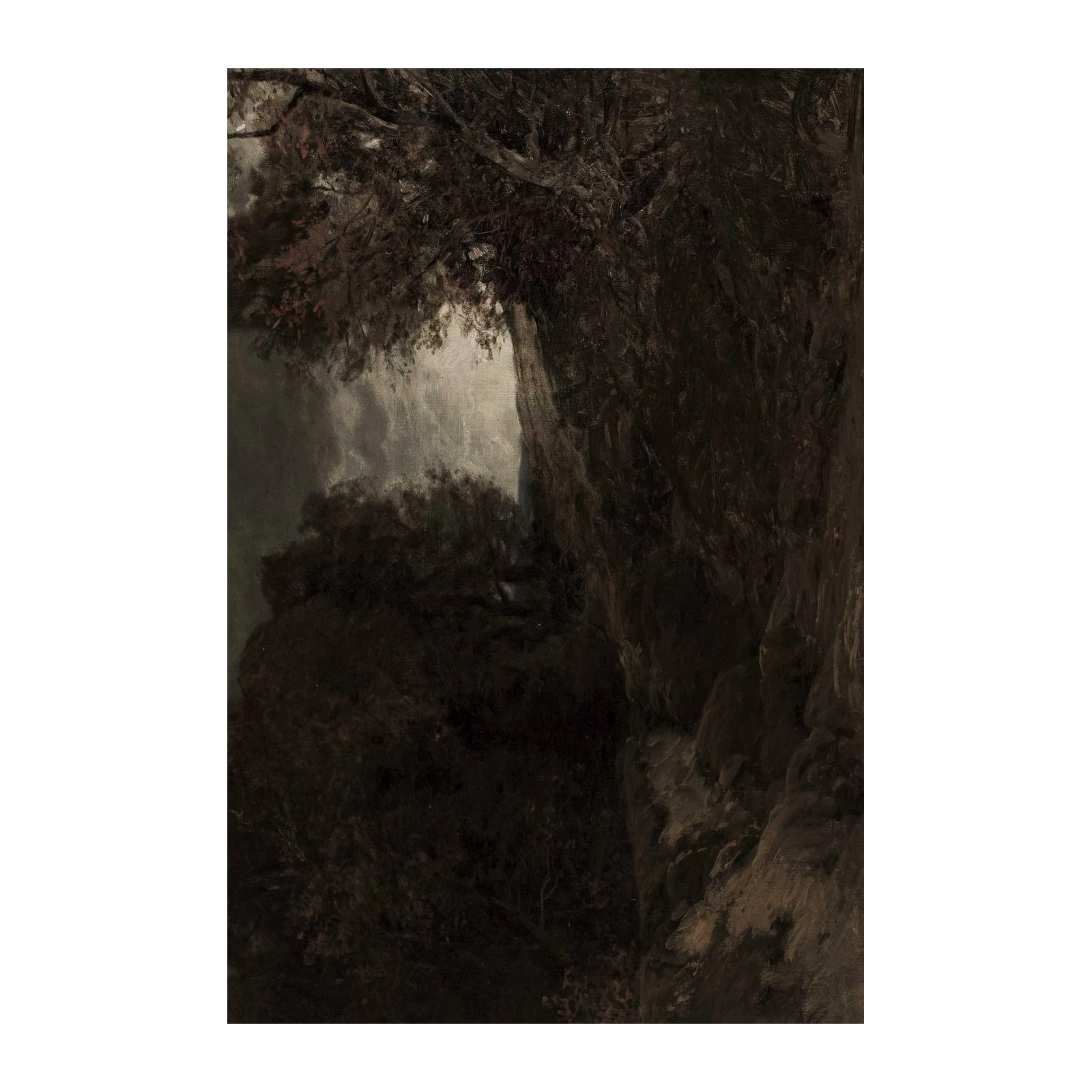 Dramatic Forest Landscape Wall Art