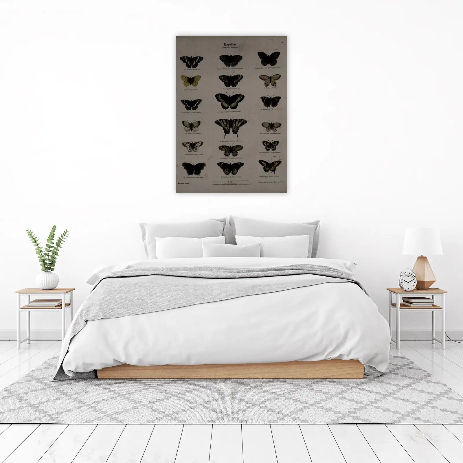 Vintage Butterfly Collection Wall Art Wall Art