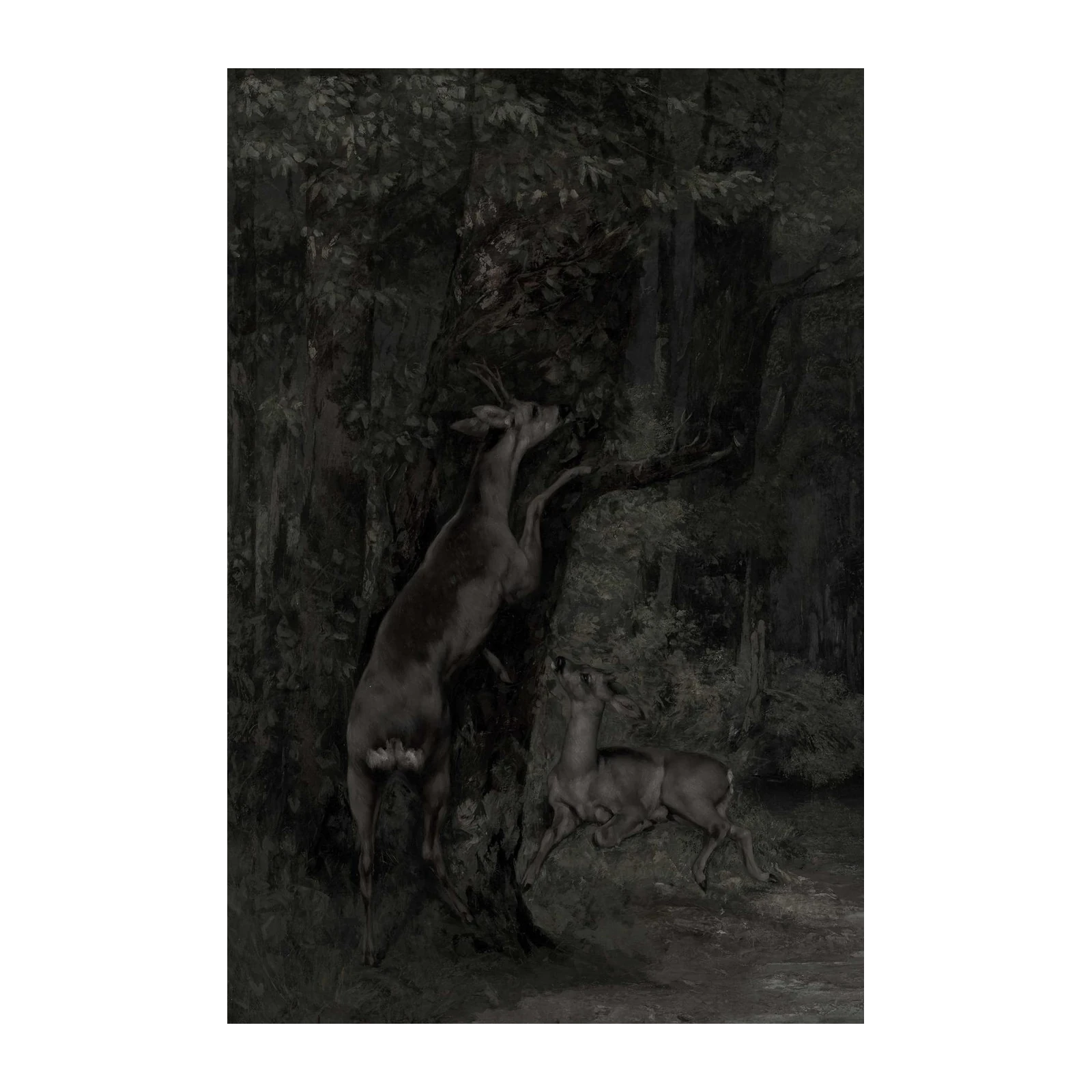Mysterious Forest Deer Duo Wall Art
