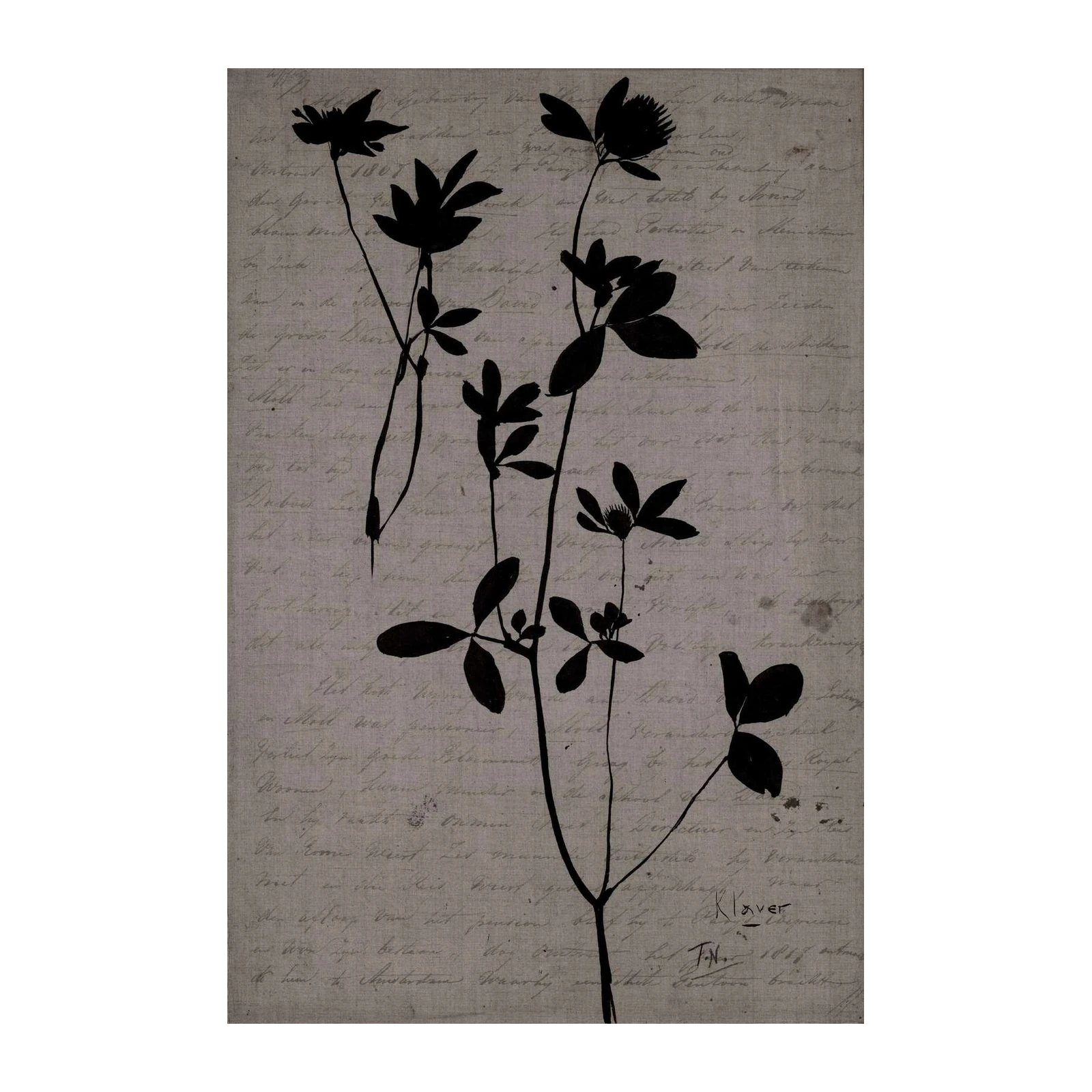 Vintage Botanical Silhouette Clover Wall Art