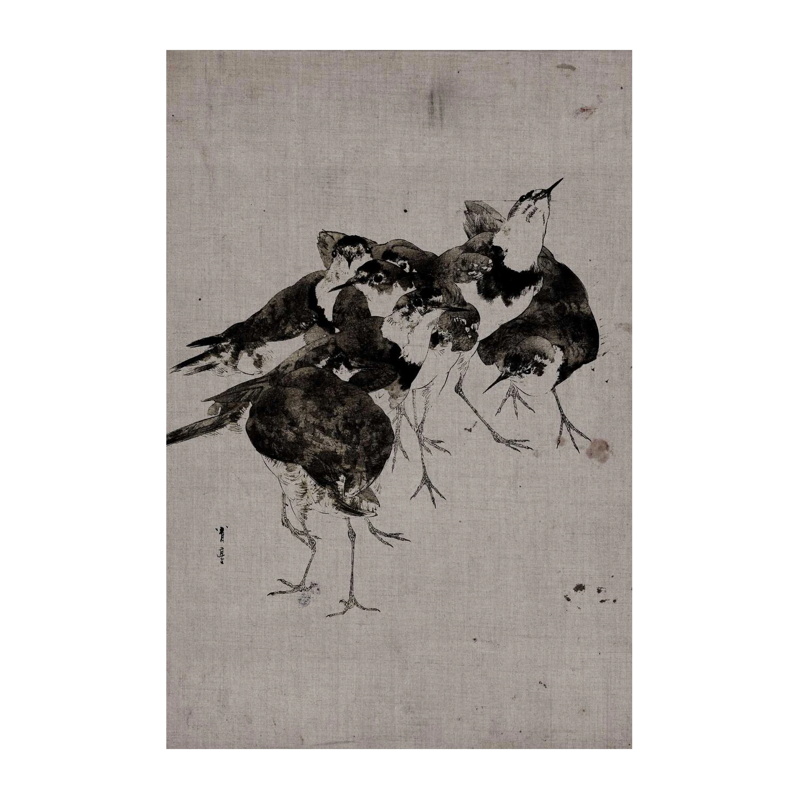 Vibrant Bird Flock Sketch Wall Art - Minimalist Nature Art