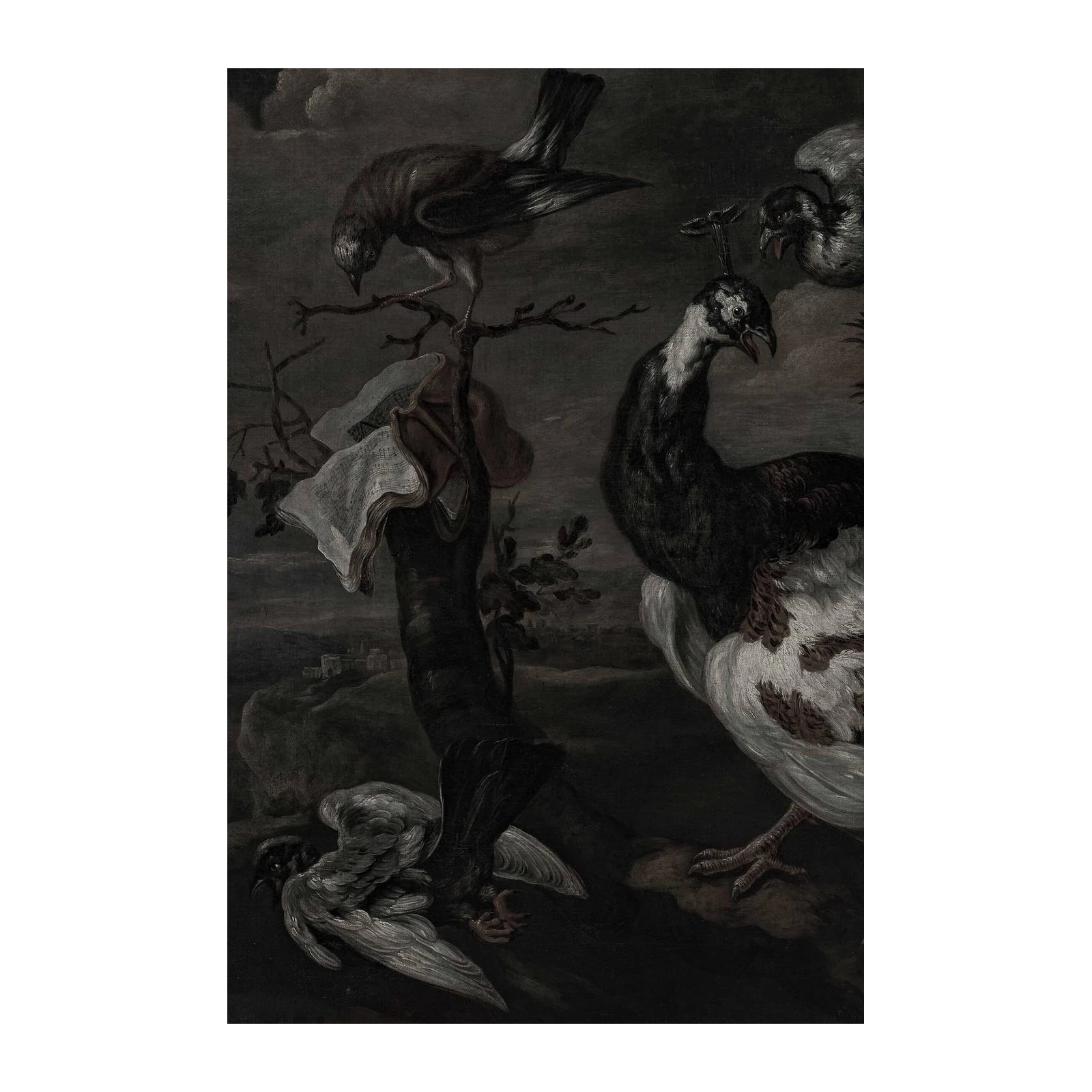 Gothic Birds & Peacock Wall Art
