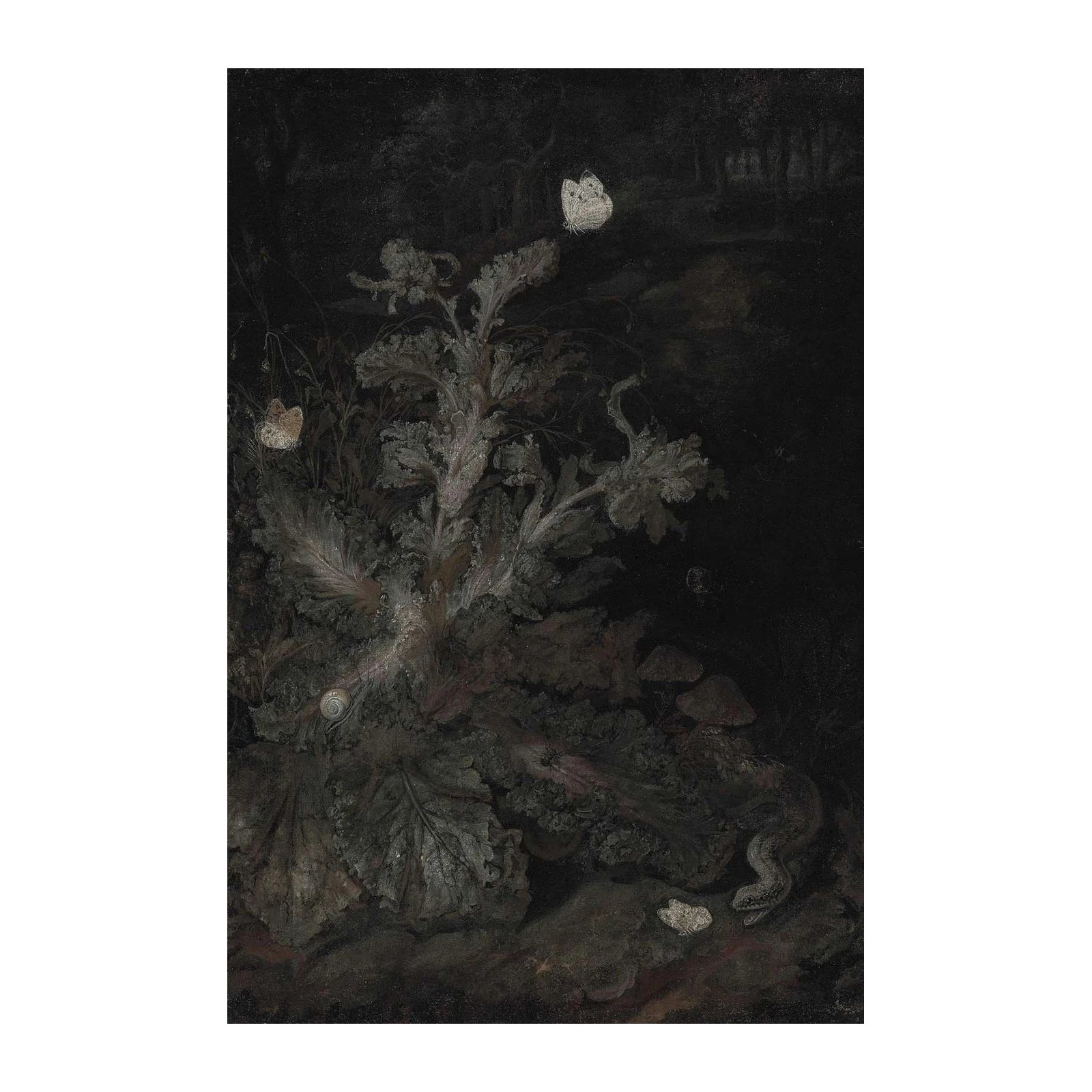 Mysterious Garden Still Life Wall Art