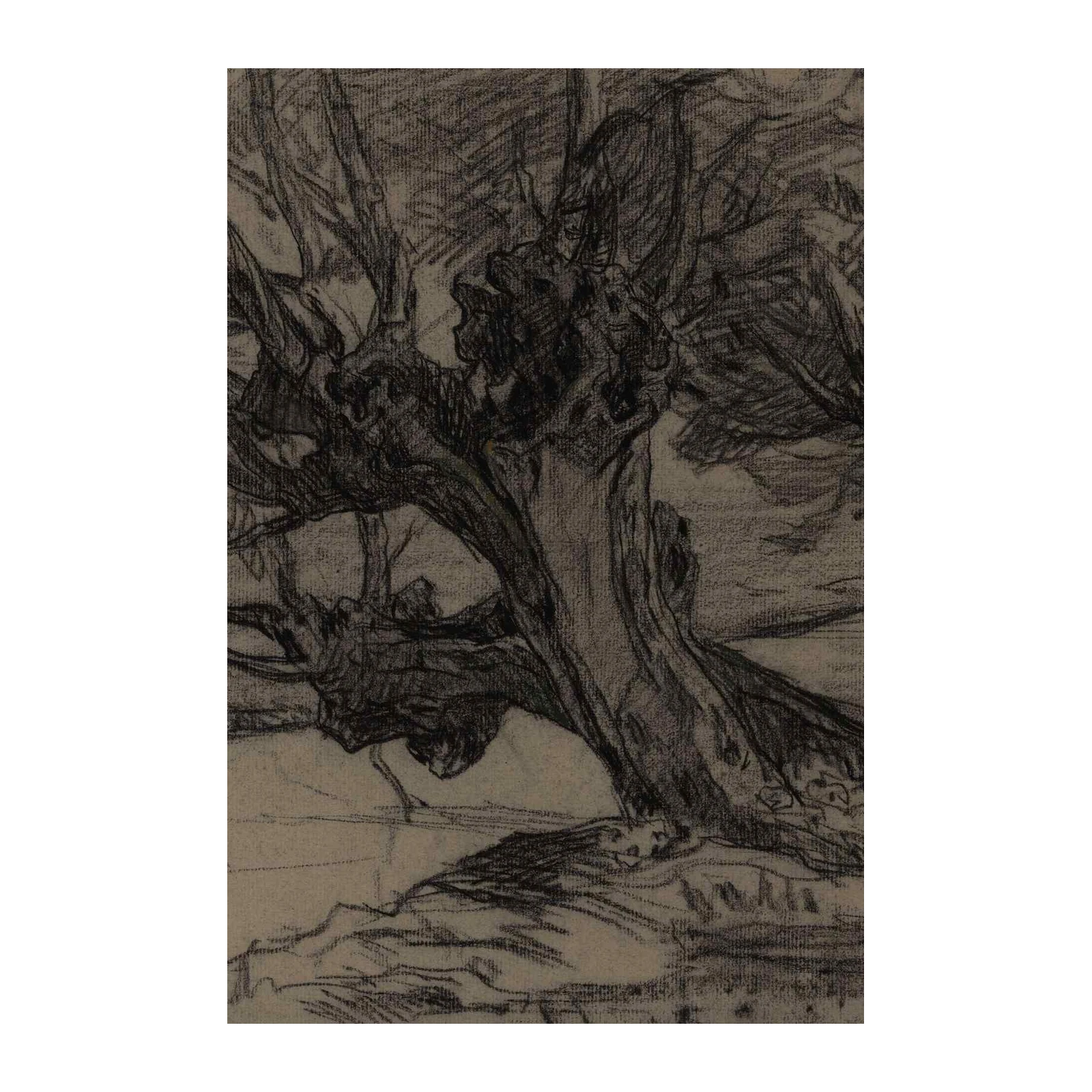 Textured Tree Sketch Wall Art Wall Art