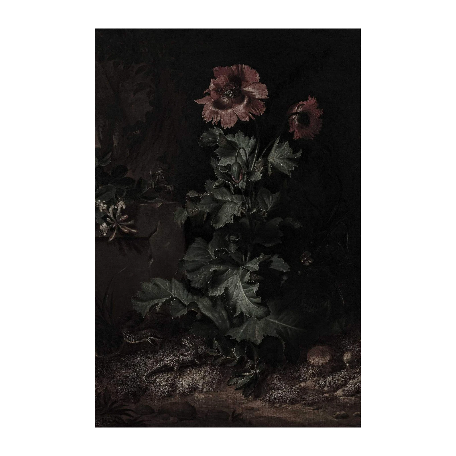 Dramatic Floral & Fauna Vintage Wall Art