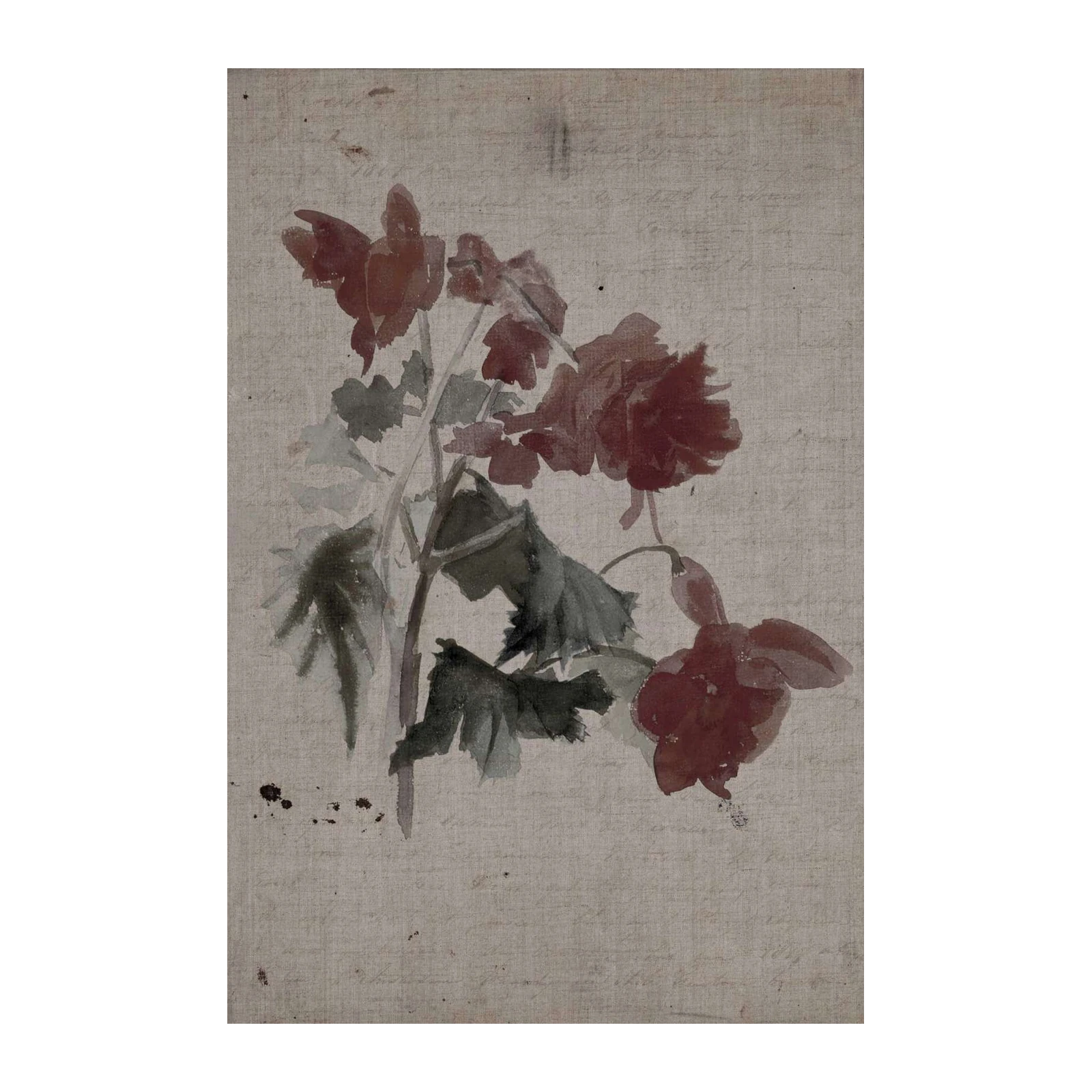 Vintage Botanical Red Flower Watercolour Wall Art