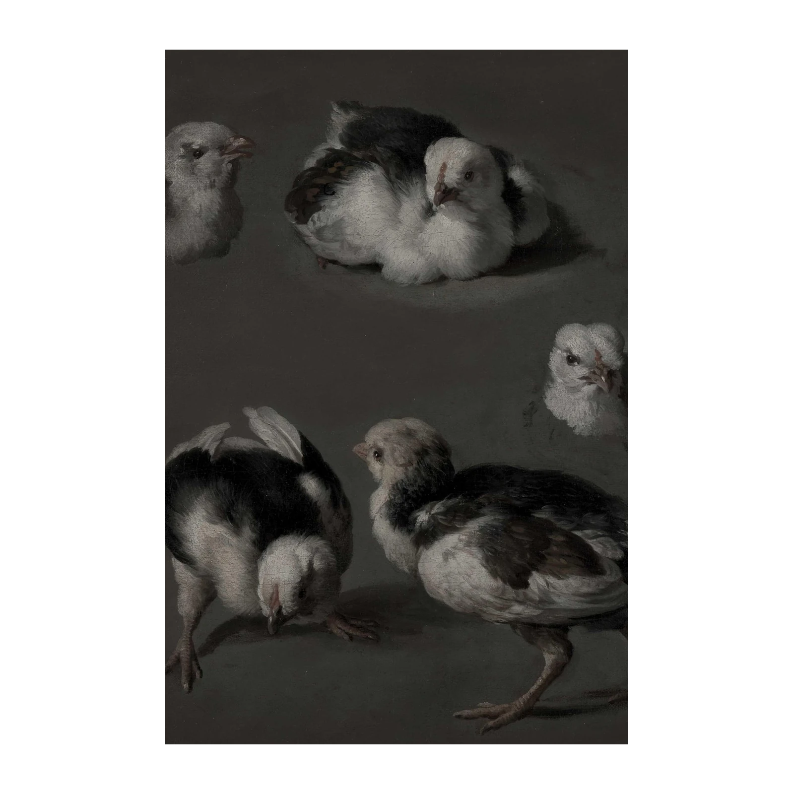 Adorable Chicks Vintage Farmhouse Wall Art